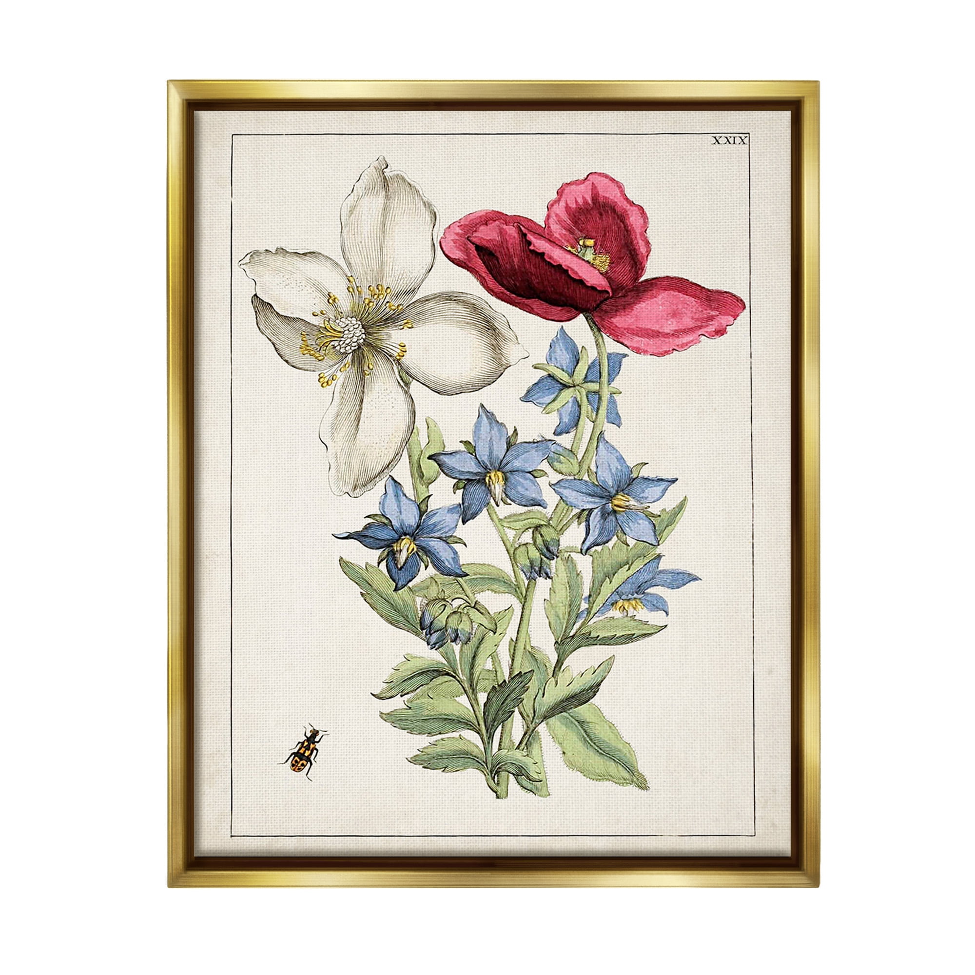 Stupell Industries Vintage Beetle & Flowers Botanical & Floral Painting Gold Floater Framed Canvas Art Print Wall Art, 25 x 31