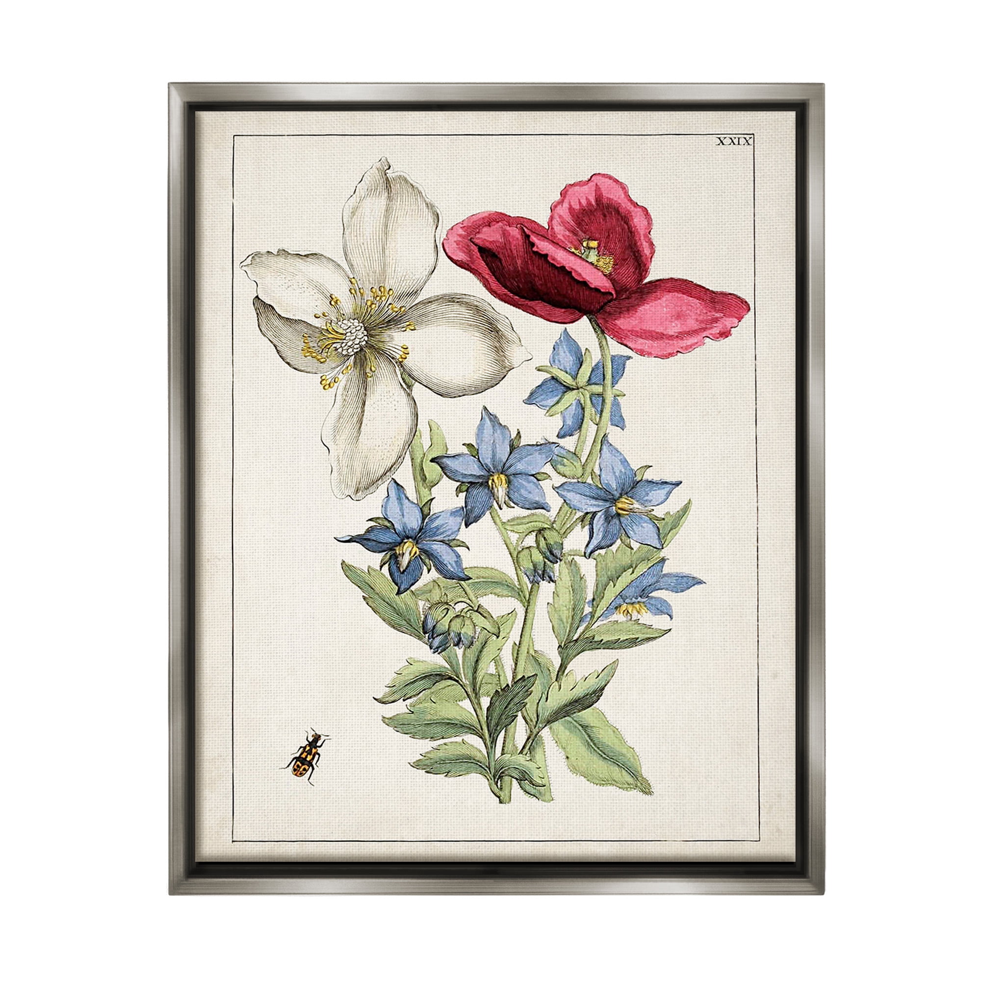 Stupell Industries Vintage Beetle & Flowers Botanical & Floral Painting Gray Floater Framed Canvas Art Print Wall Art, 17 x 21