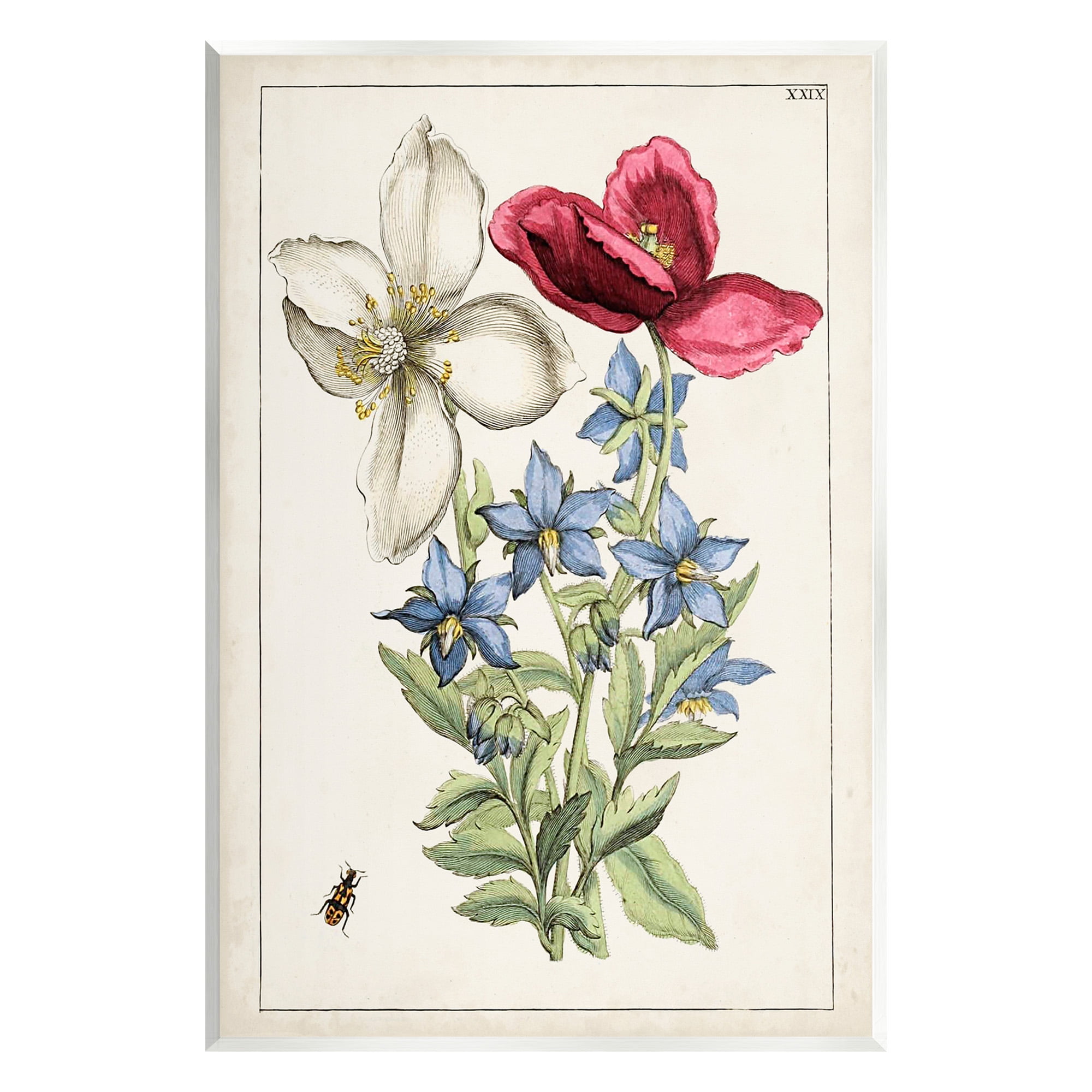 Stupell Industries Vintage Beetle & Flowers Botanical & Floral Painting Unframed Art Print Wall Art, 10 x 15