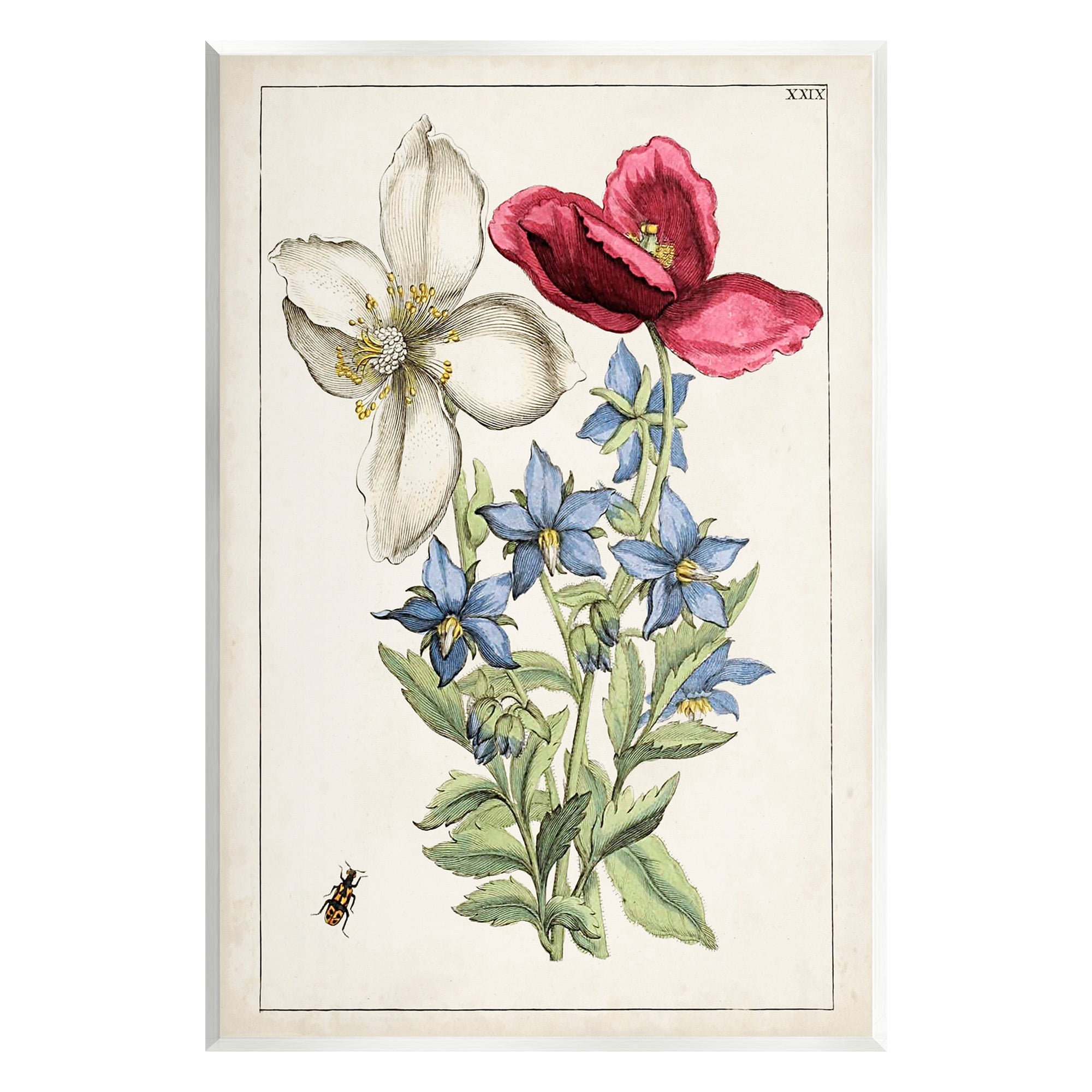 Stupell Industries Vintage Beetle & Flowers Botanical & Floral Painting Unframed Art Print Wall Art, 13 x 19