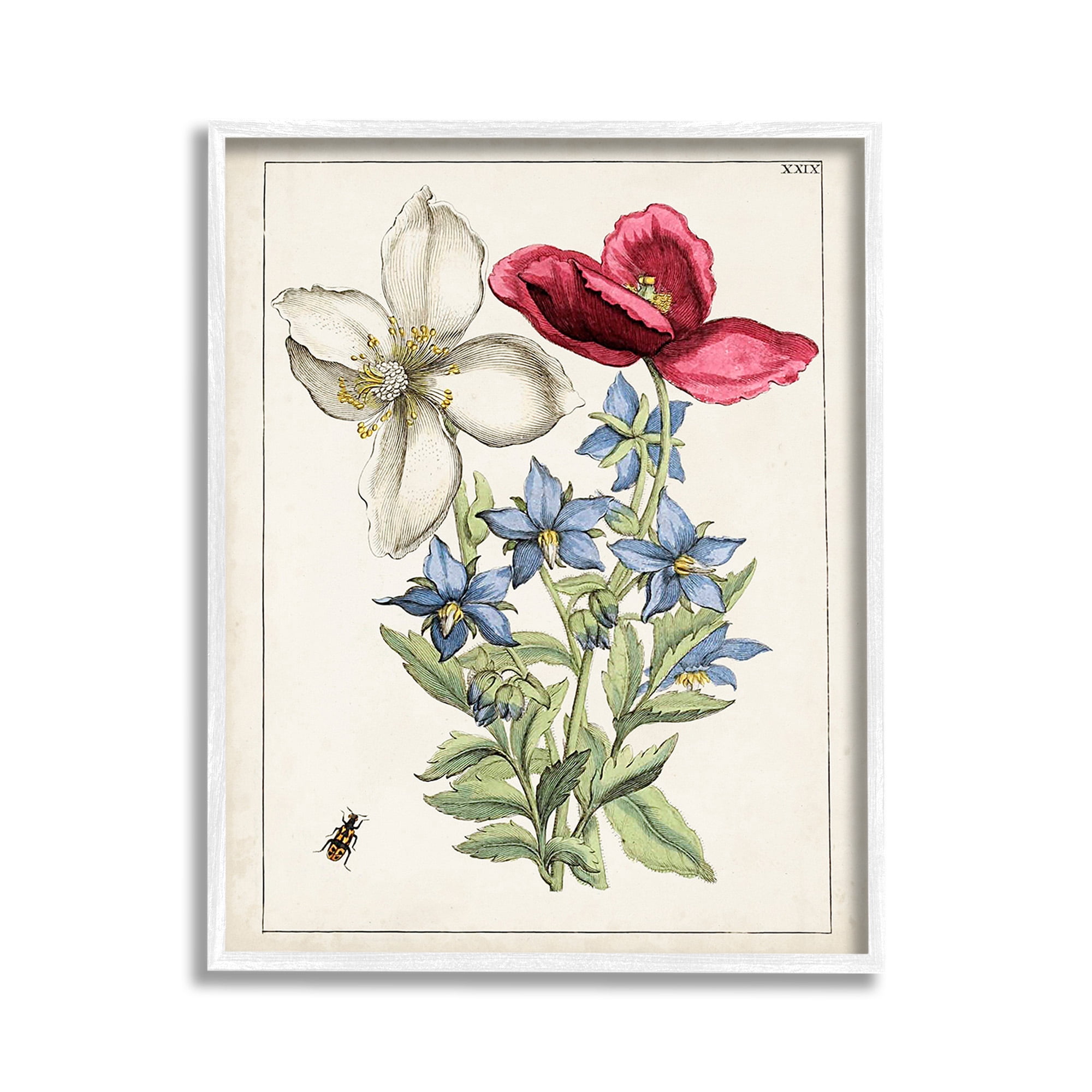 Stupell Industries Vintage Beetle & Flowers Botanical & Floral Painting White Framed Art Print Wall Art, 11 x 14