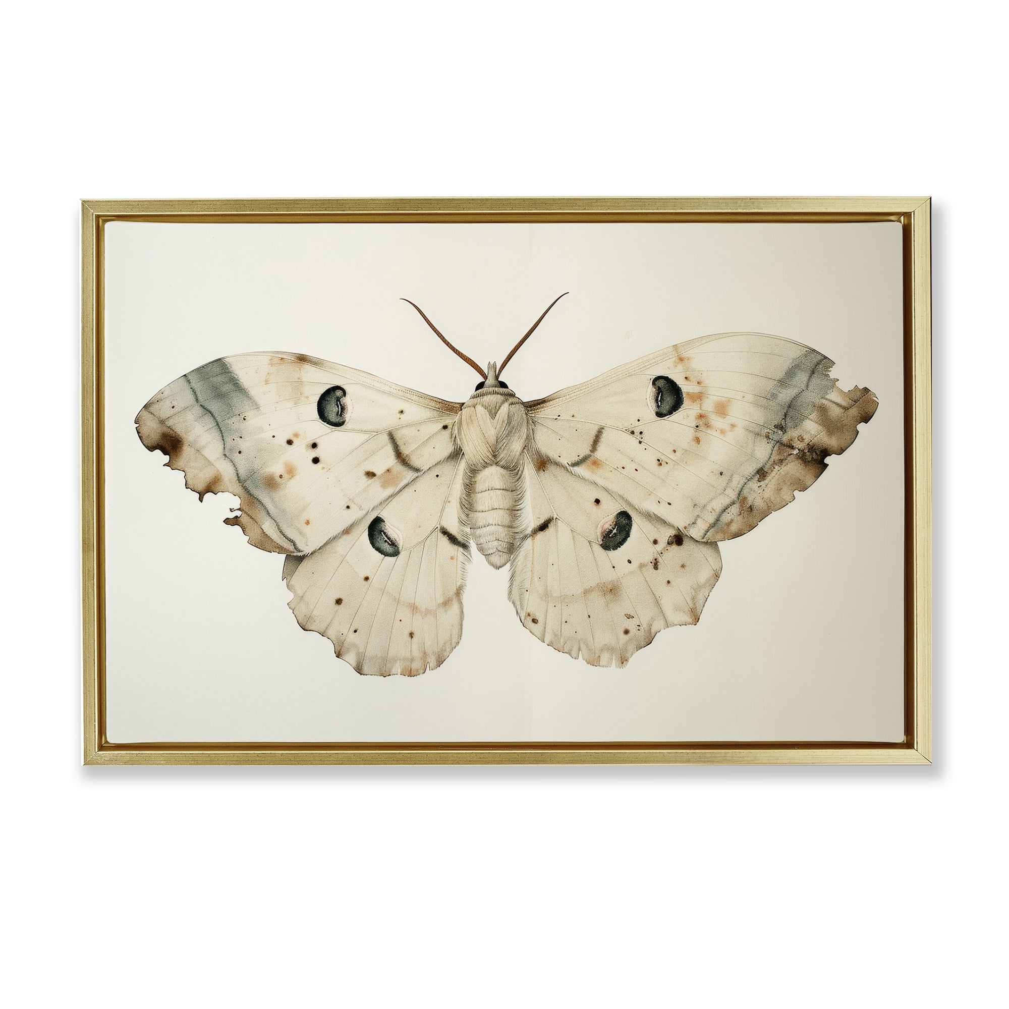 Stupell Industries Vintage Beige Moth Animals Painting Gold Floater Framed Canvas Art Print Wall Art, 31 x 21