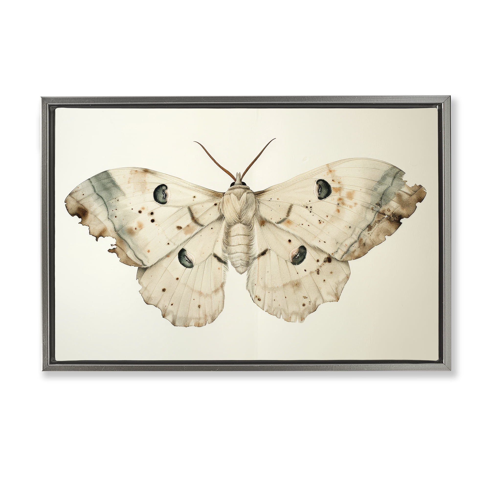 Stupell Industries Vintage Beige Moth Animals Painting Gray Floater Framed Canvas Art Print Wall Art, 25 x 17