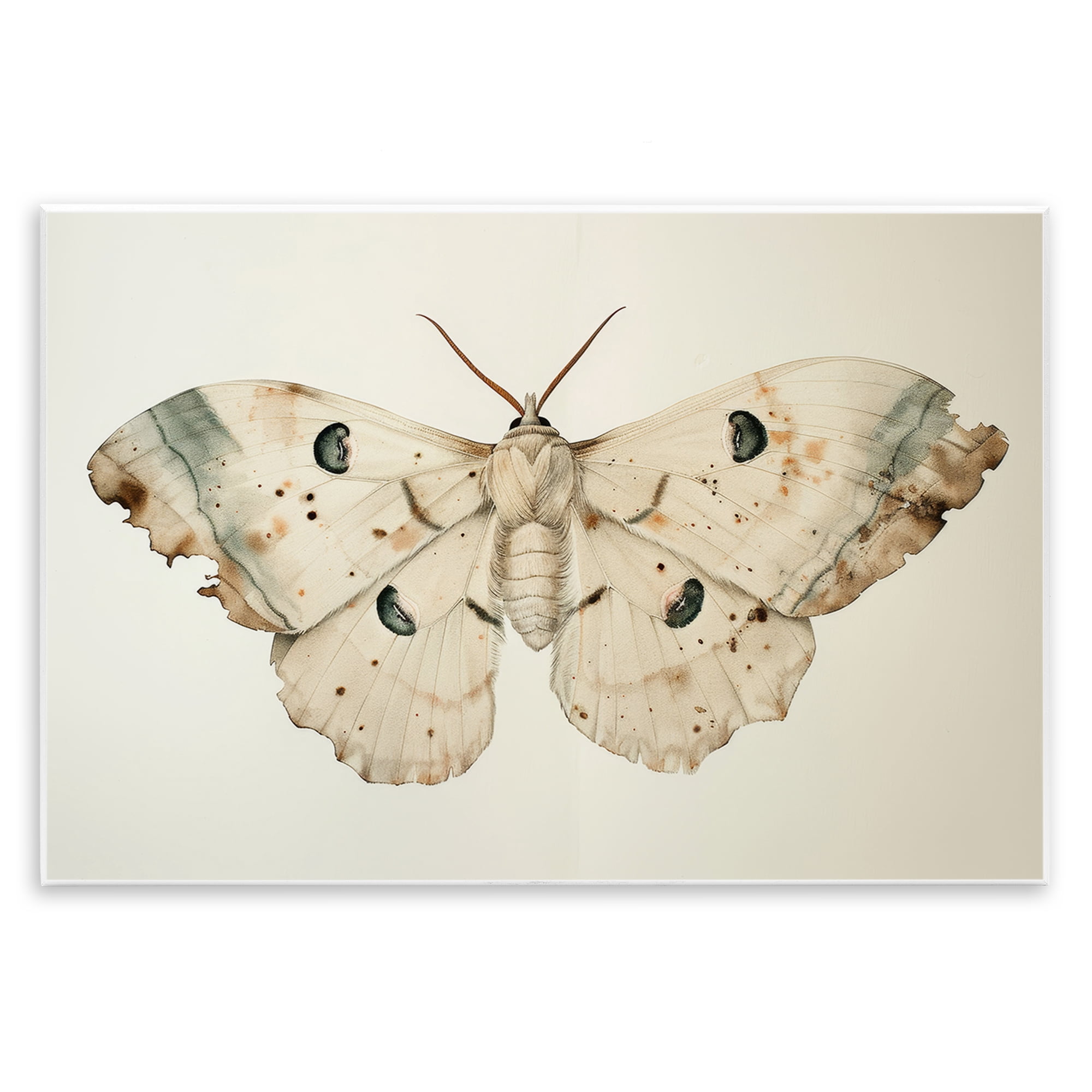 Stupell Industries Vintage Beige Moth Animals Painting Unframed Art Print Wall Art, 15 x 10