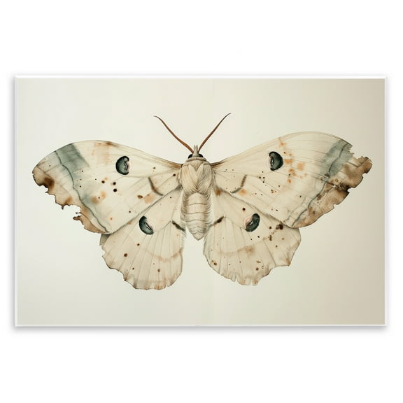 Stupell Industries Vintage Beige Moth Animals Painting Unframed Art Print Wall Art, 15 x 10