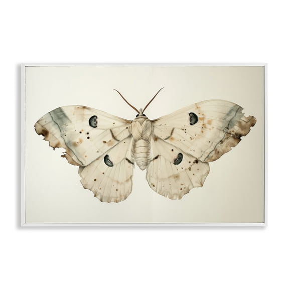 Stupell Industries Vintage Beige Moth Animals Painting White Framed Art Print Wall Art, 18 x 12