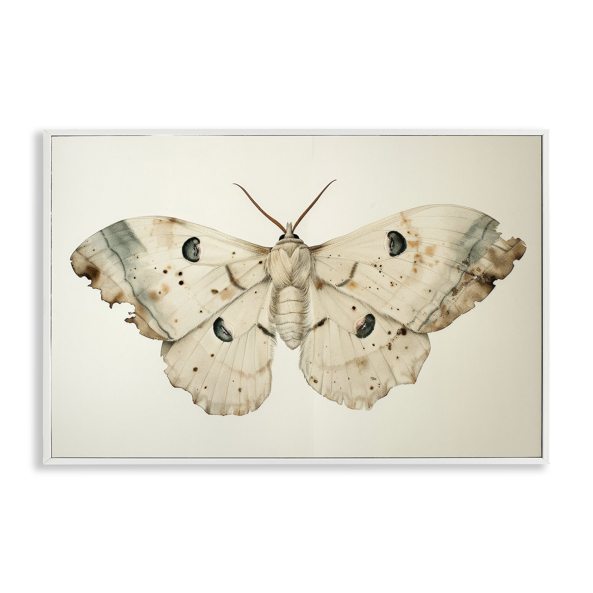 Stupell Industries Vintage Beige Moth Animals Painting White Framed Art Print Wall Art, 24 x 16