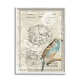 thumbnail image 1 of Stupell Industries Vintage Bird House Patent Design Figure Eastern Bluebird, 11 x 14, Design by Daphne Polselli, 1 of 7