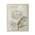 thumbnail image 1 of Stupell Industries Vintage Bird House Patent Design Figure Eastern Bluebird, 16 x 20, Design by Daphne Polselli, 1 of 6