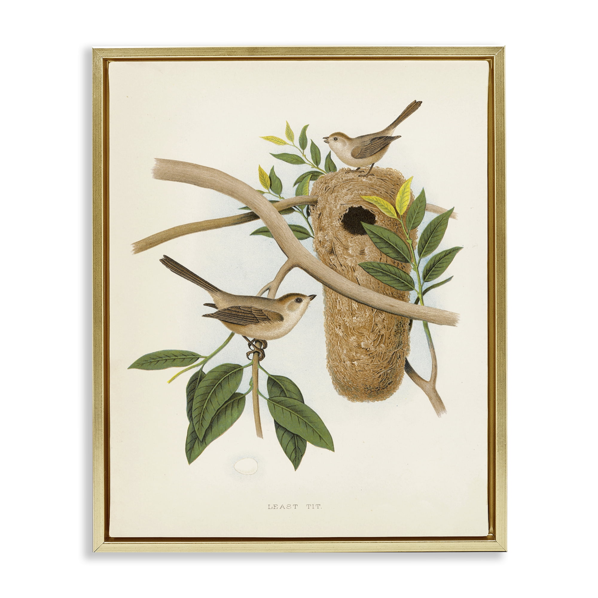 Stupell Industries Vintage Bird House Study Plants & Flowers Painting Gold Floater Framed Canvas Art Print Wall Art, 25 x 31