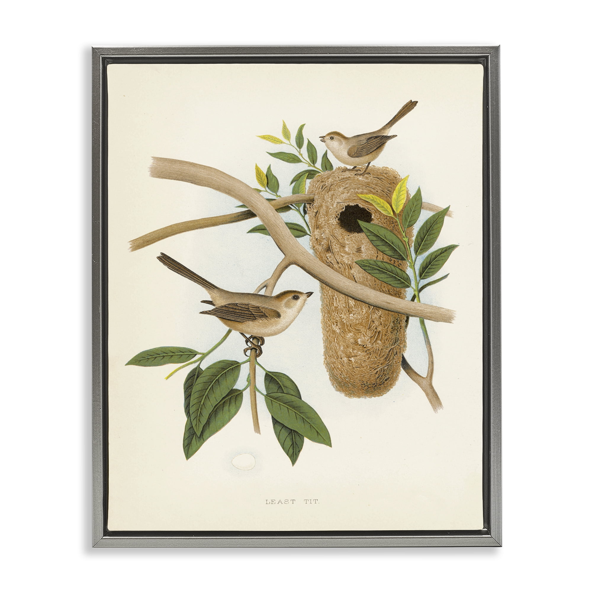 Stupell Industries Vintage Bird House Study Plants & Flowers Painting Gray Floater Framed Canvas Art Print Wall Art, 25 x 31