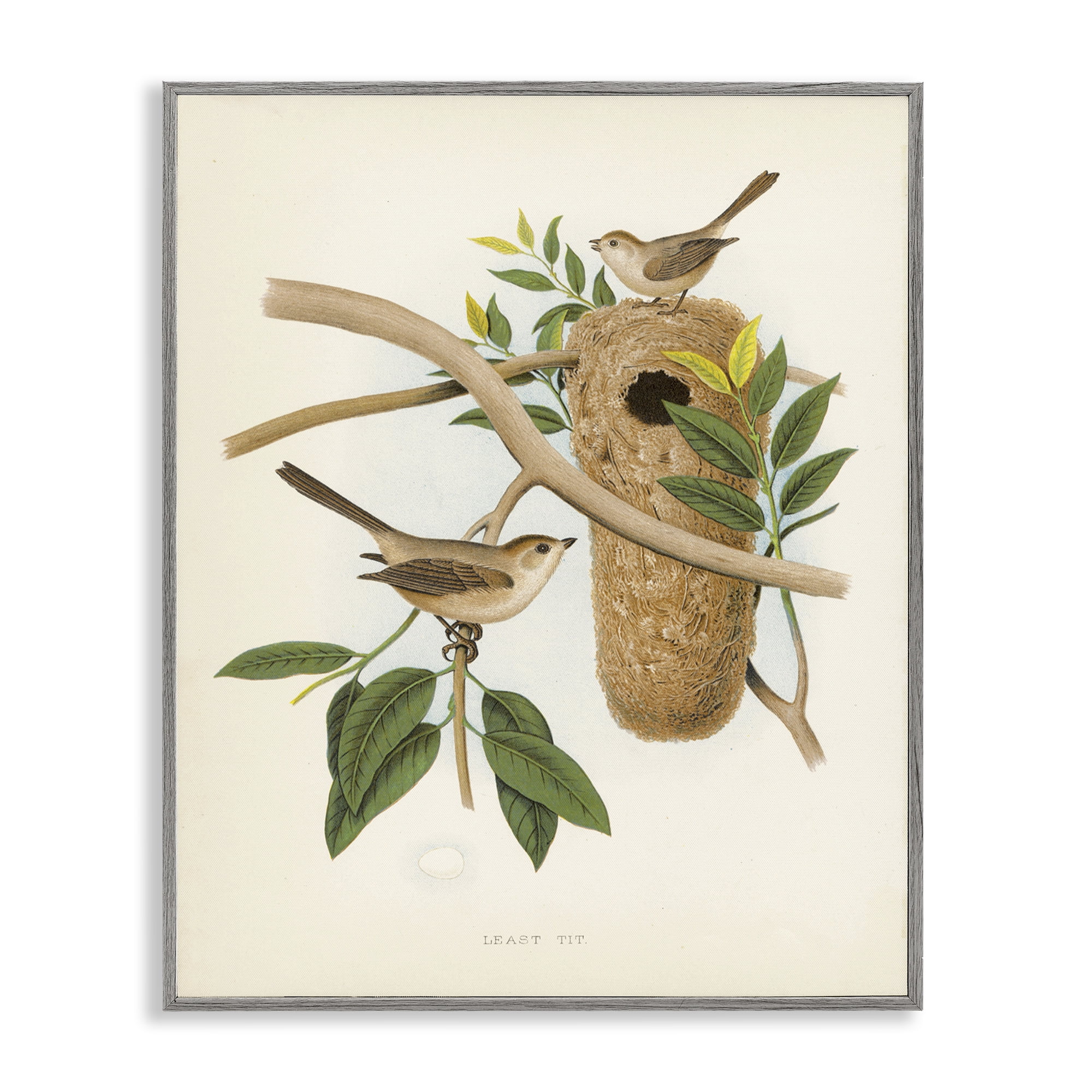 Stupell Industries Vintage Bird House Study Plants & Flowers Painting Gray Framed Art Print Wall Art, 16 x 20