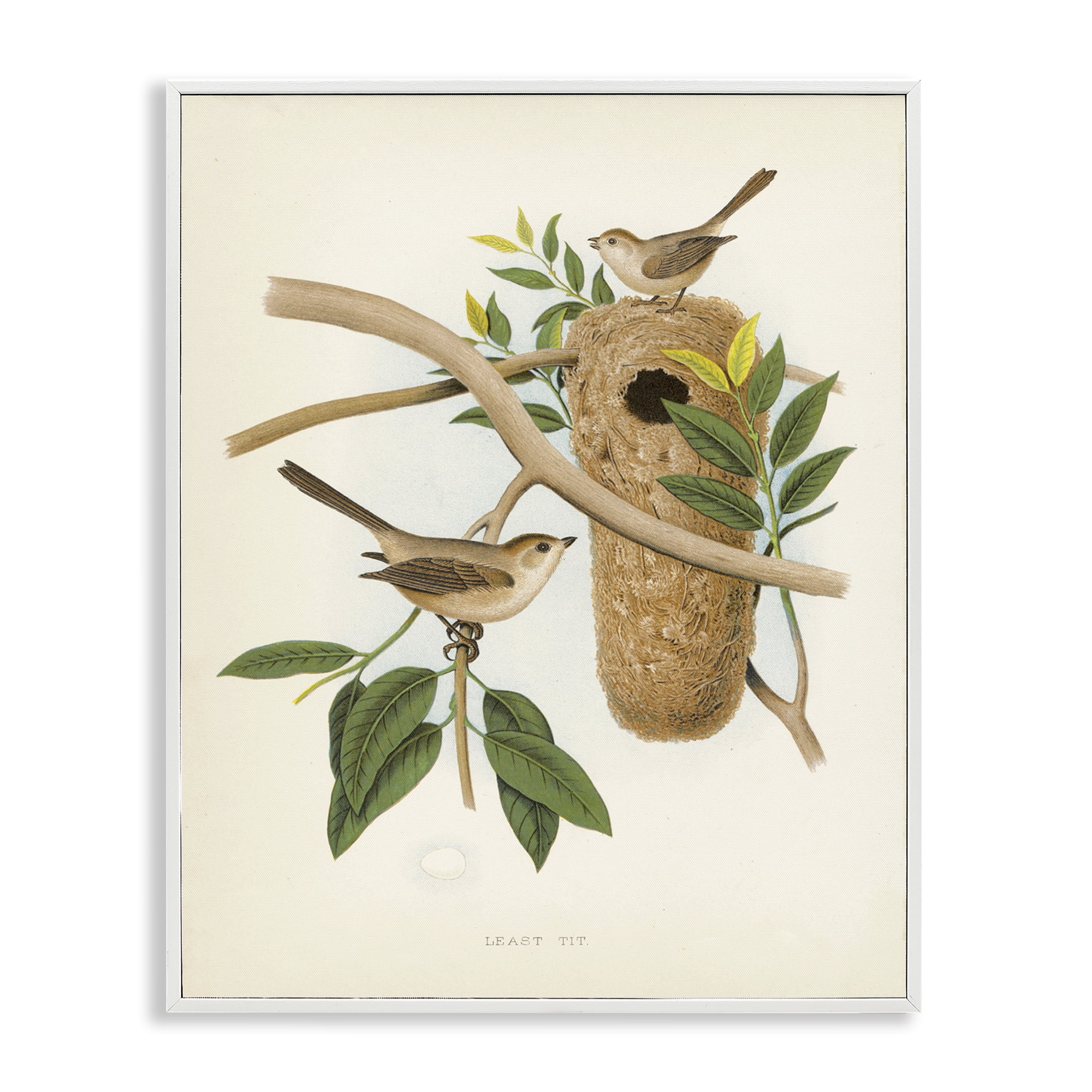 Stupell Industries Vintage Bird House Study Plants & Flowers Painting White Framed Art Print Wall Art, 16 x 20