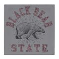 thumbnail image 1 of Stupell Industries Shabby Chic Canvas Art, 17 x 17, by Spirit Animals/Life Is High, 1 of 8
