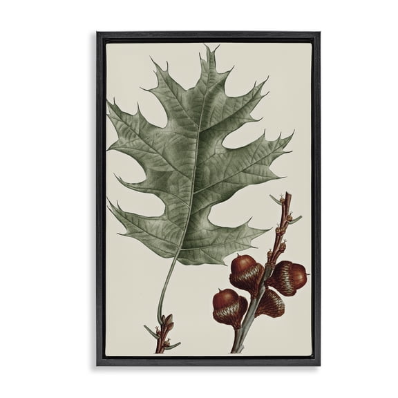 Stupell Industries Vintage Black Oak Leaf Plants & Flowers Painting Black Floater Framed Canvas Art Print Wall Art, 17 x 25
