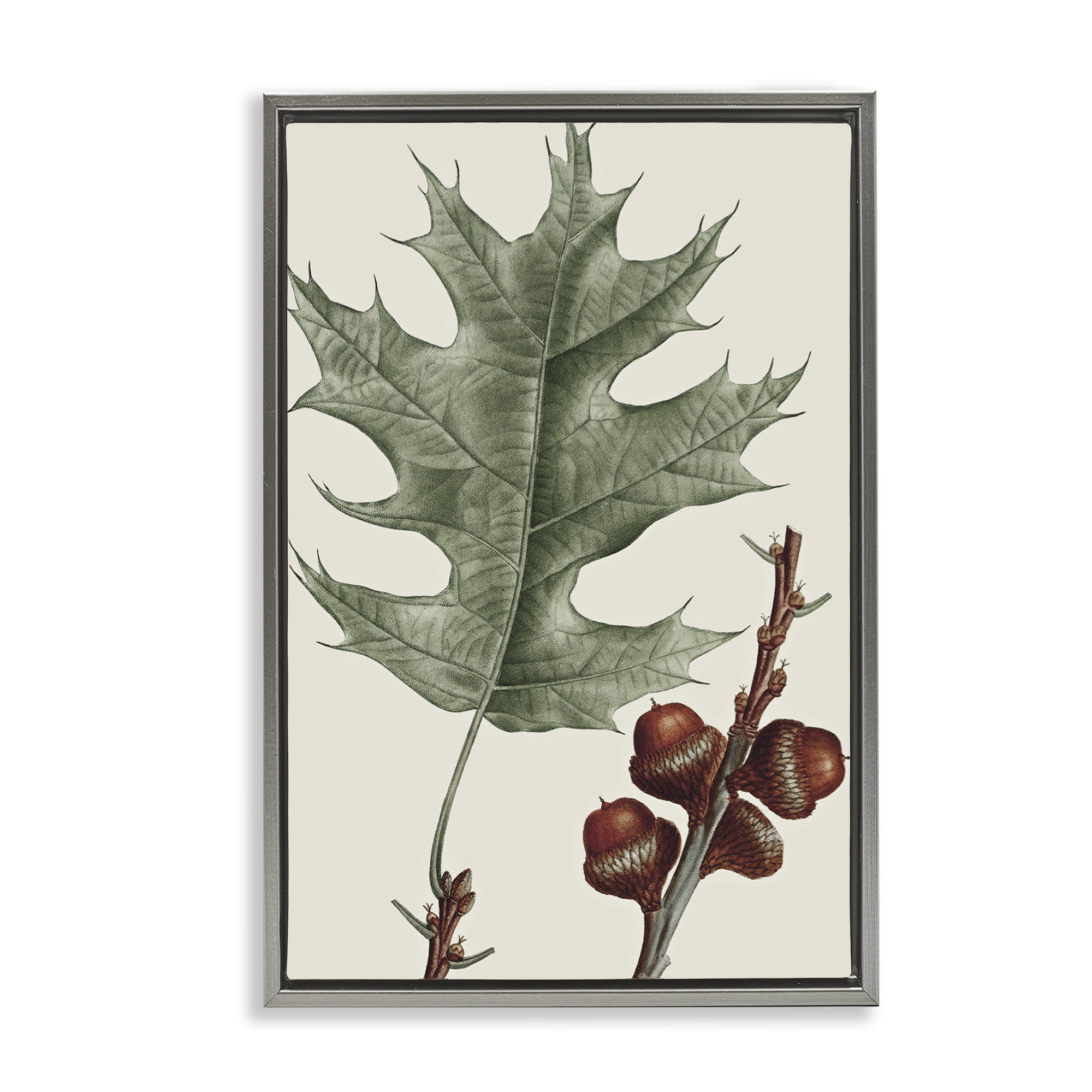 Stupell Industries Vintage Black Oak Leaf Plants & Flowers Painting Gray Floater Framed Canvas Art Print Wall Art, 21 x 31