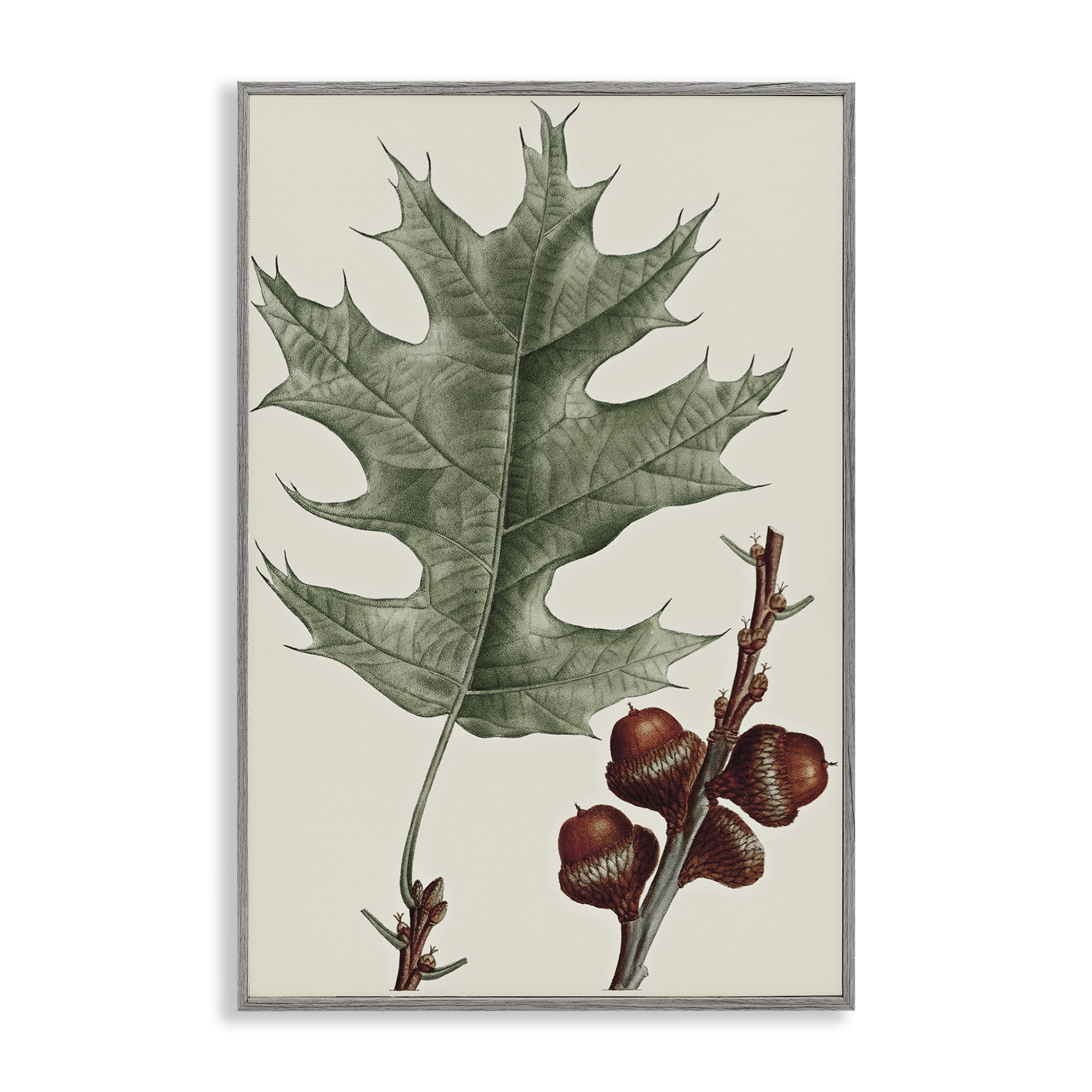 Stupell Industries Vintage Black Oak Leaf Plants & Flowers Painting Gray Framed Art Print Wall Art, 16 x 24