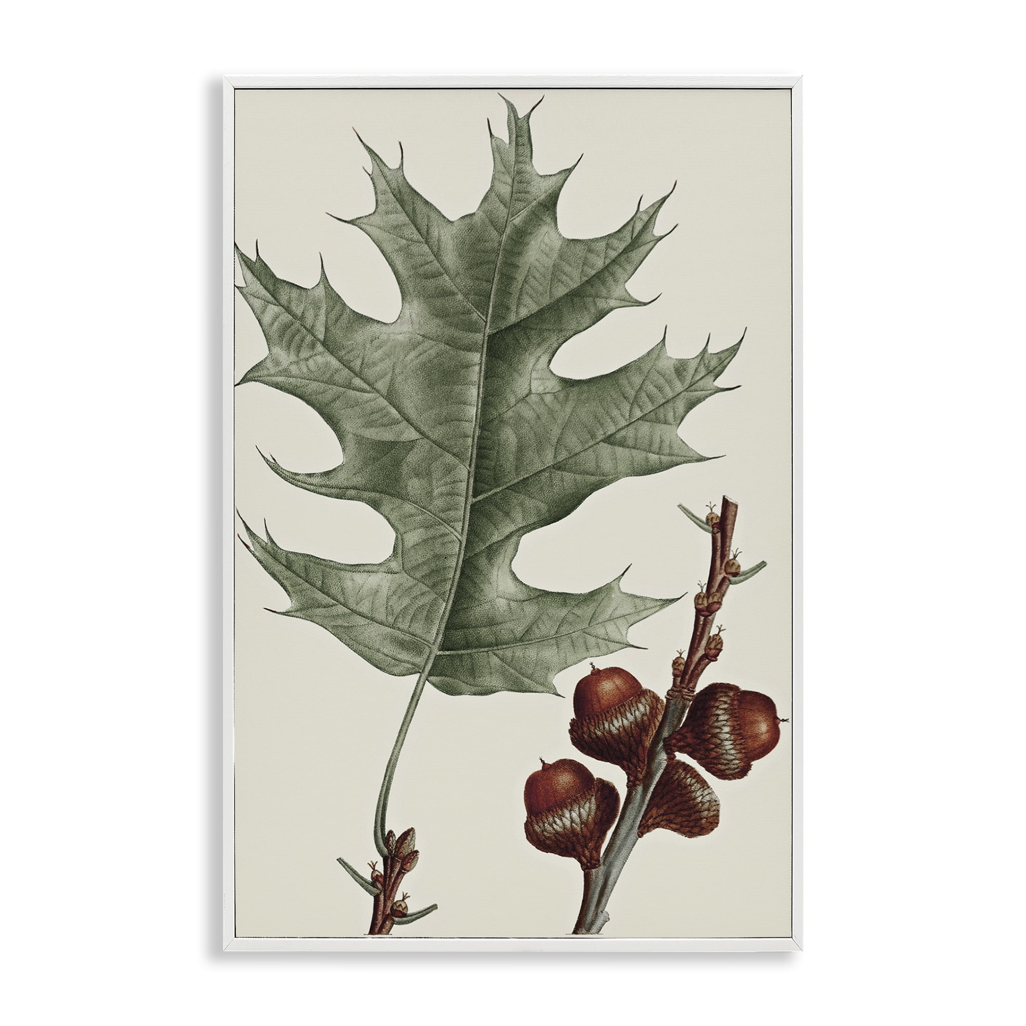 Stupell Industries Vintage Black Oak Leaf Plants & Flowers Painting White Framed Art Print Wall Art, 20 x 30