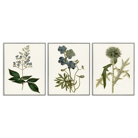 Stupell Industries Vintage Blue Botanical Flowers on Beige Design by Curtis, 3 Piece, 11" x 14", Gray Framed