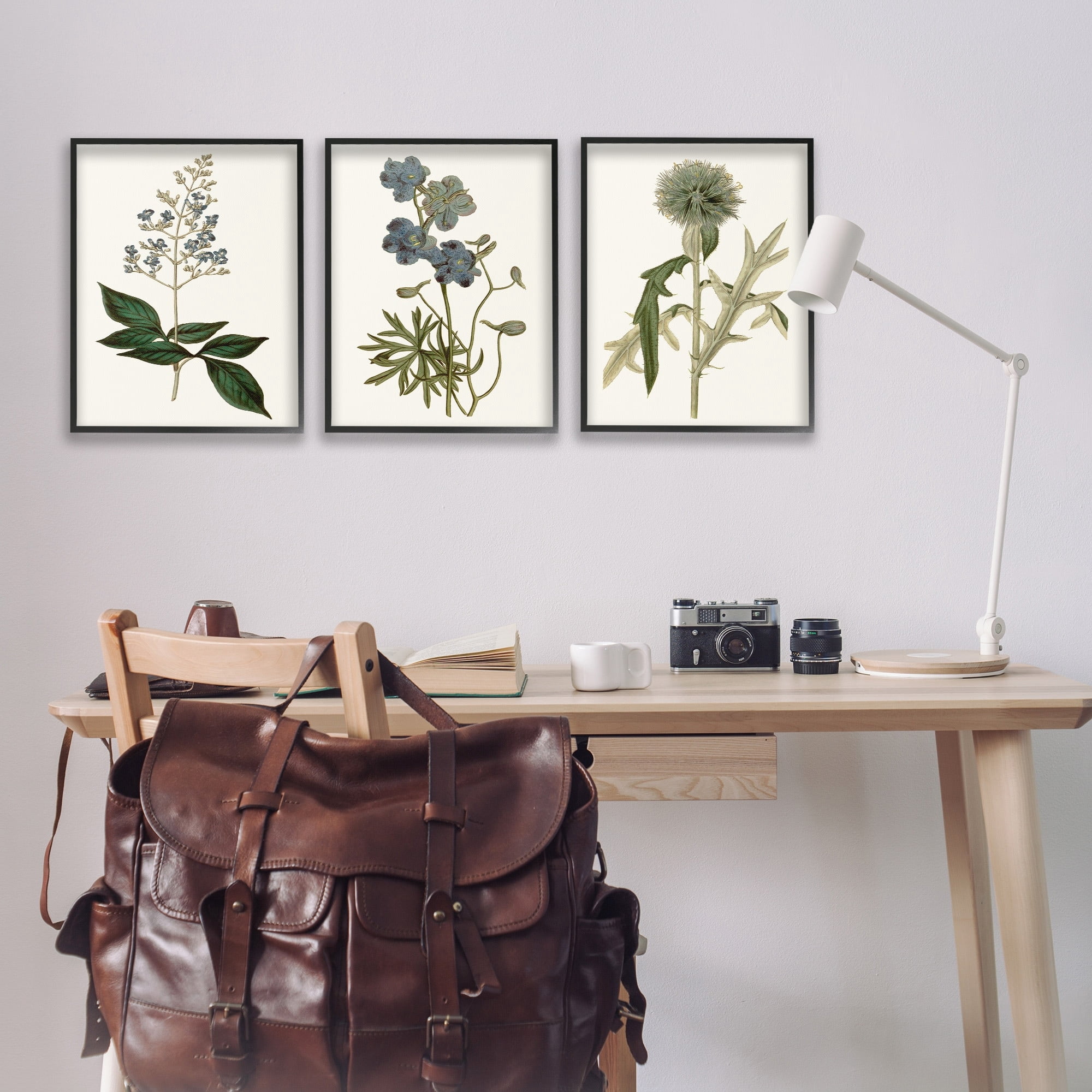 Stupell Industries Vintage Blue Botanical Flowers on Beige Design by Curtis, 3 Piece, 16" x 20", Black Framed