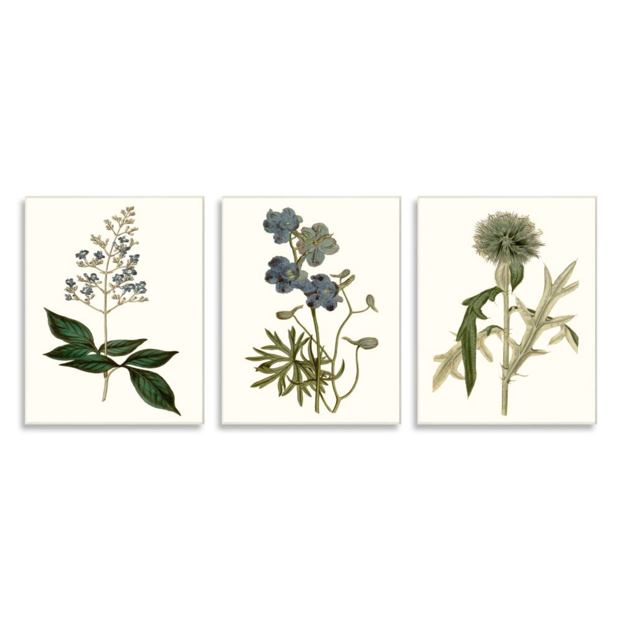 Stupell Industries Vintage Blue Botanical Flowers on Beige Design by Curtis