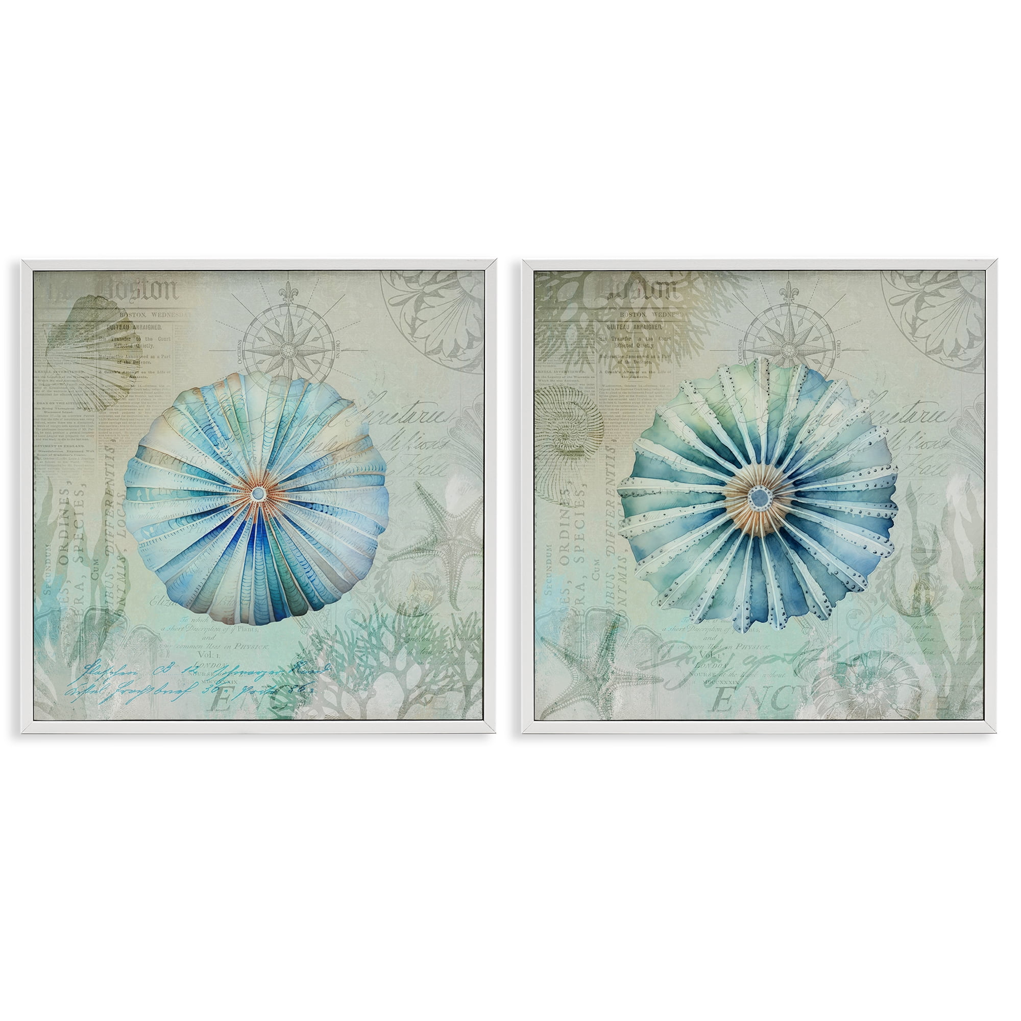 Stupell Industries Vintage Blue Sea Urchins Nautical & Beach Painting White Framed Art Print Wall Art, 12 x 12, Set of 2