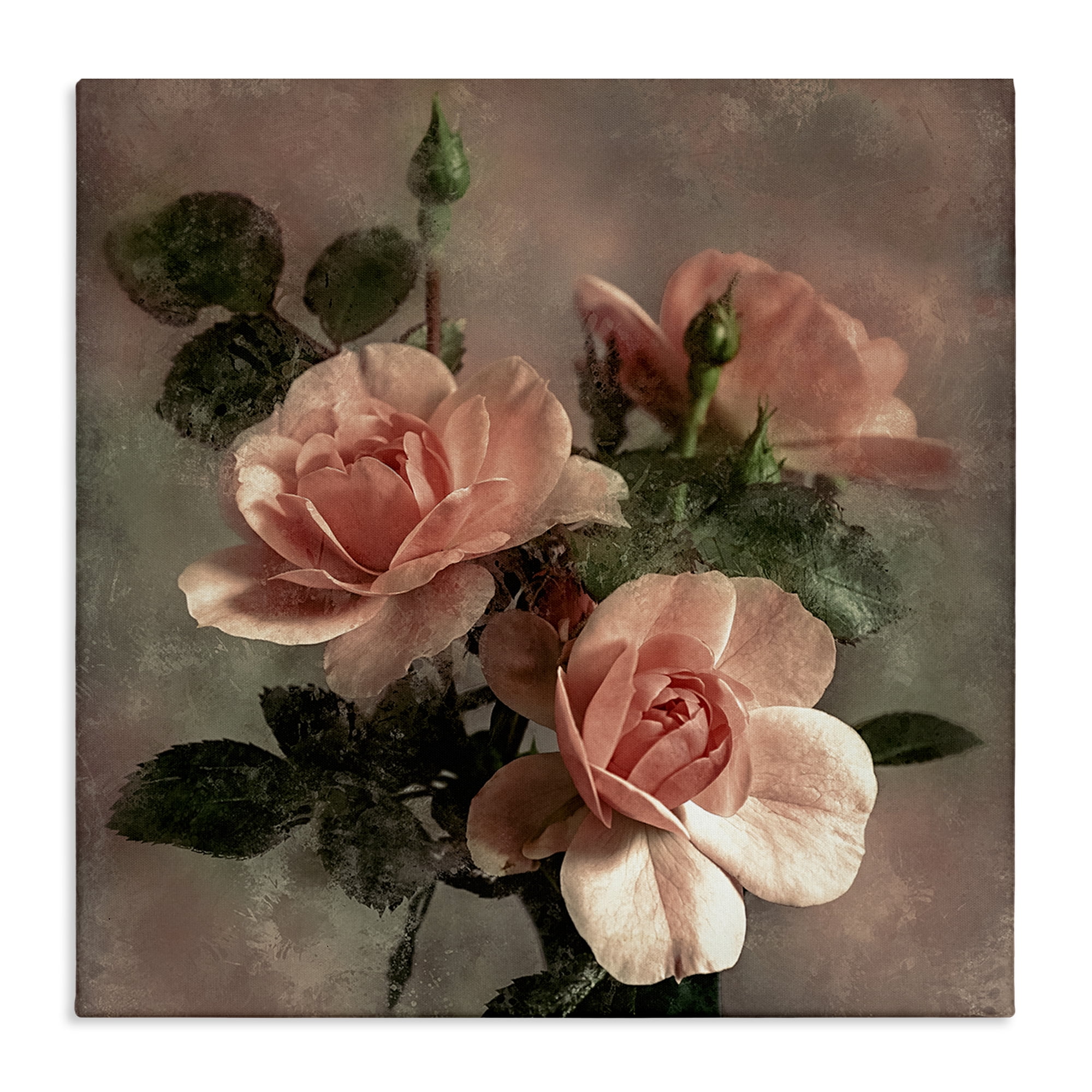 Stupell Industries Vintage Blush Petals Plants & Flowers Painting Wrapped Canvas Art Print Wall Art, 24 x 24