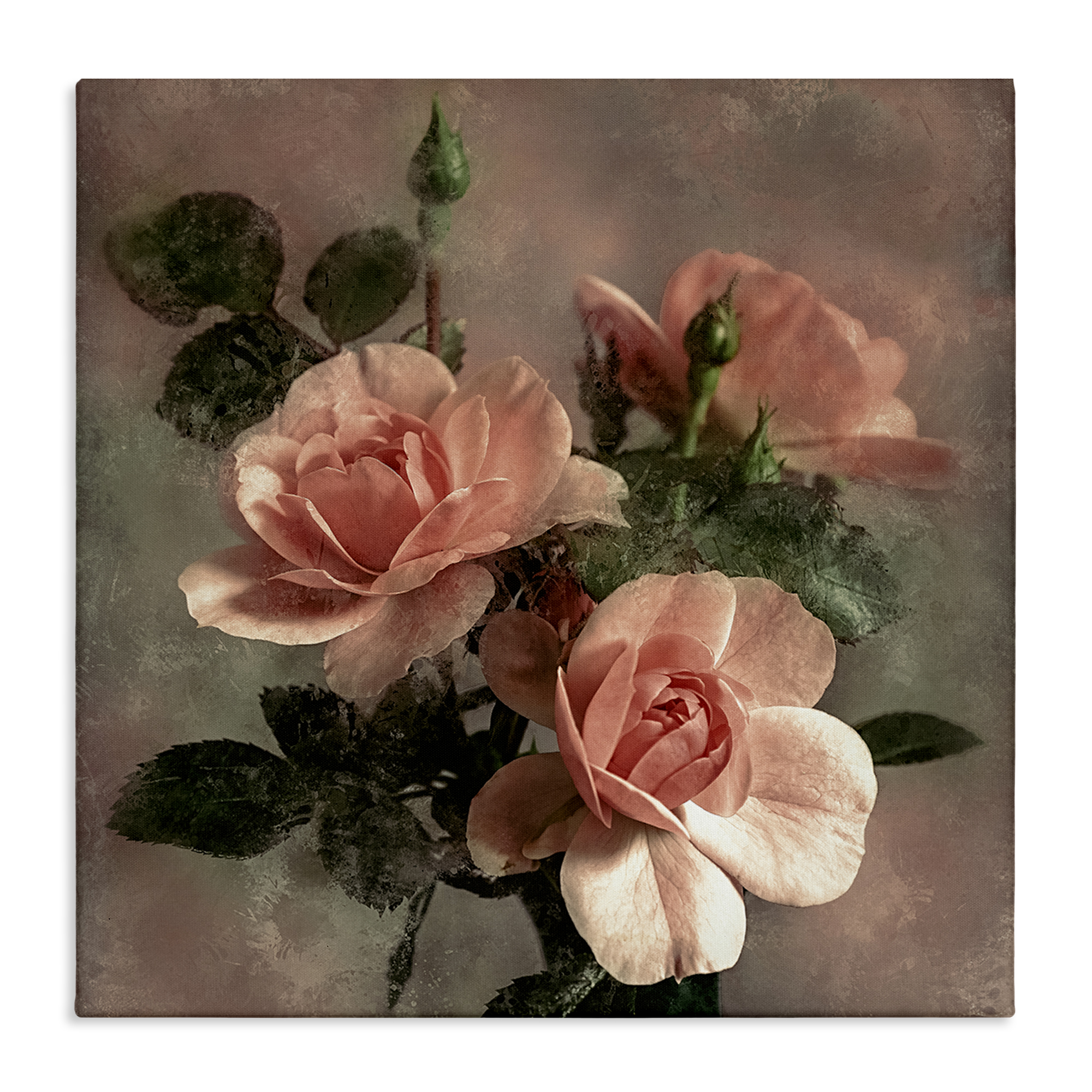 Stupell Industries Vintage Blush Petals Plants & Flowers Painting Wrapped Canvas Art Print Wall Art, 30 x 30