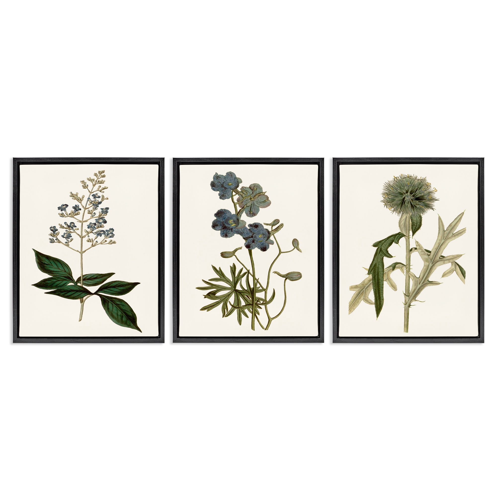 Stupell Industries Vintage Botanical Flowers on Beige Botanical & Floral Painting Black Floater Framed Canvas Art Print Wall Art, 25 x 31, Set of 3