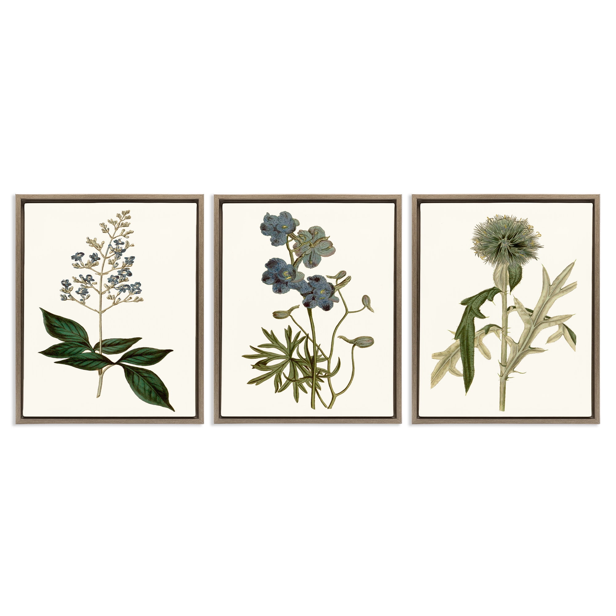 Stupell Industries Vintage Botanical Flowers on Beige Botanical & Floral Painting Brown Floater Framed Canvas Art Print Wall Art, 17 x 21, Set of 3