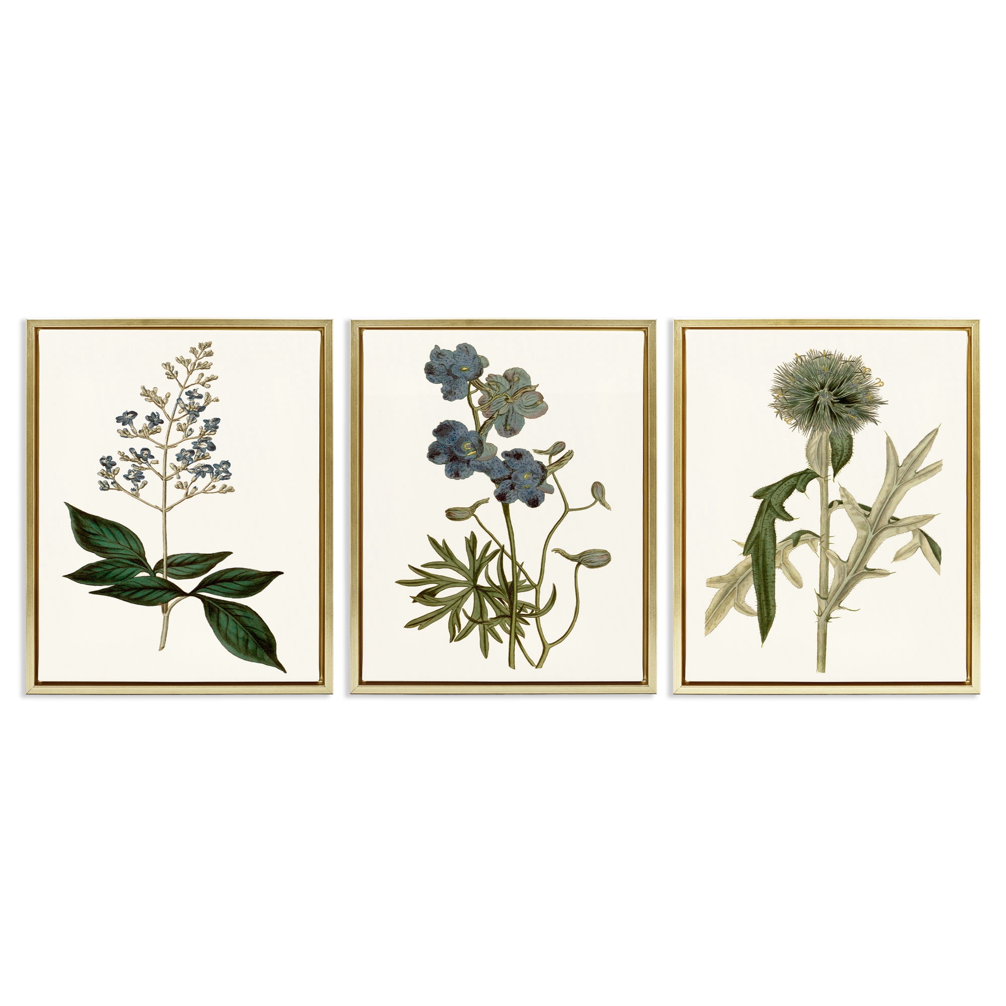 Stupell Industries Vintage Botanical Flowers on Beige Botanical & Floral Painting Gold Floater Framed Canvas Art Print Wall Art, 17 x 21, Set of 3