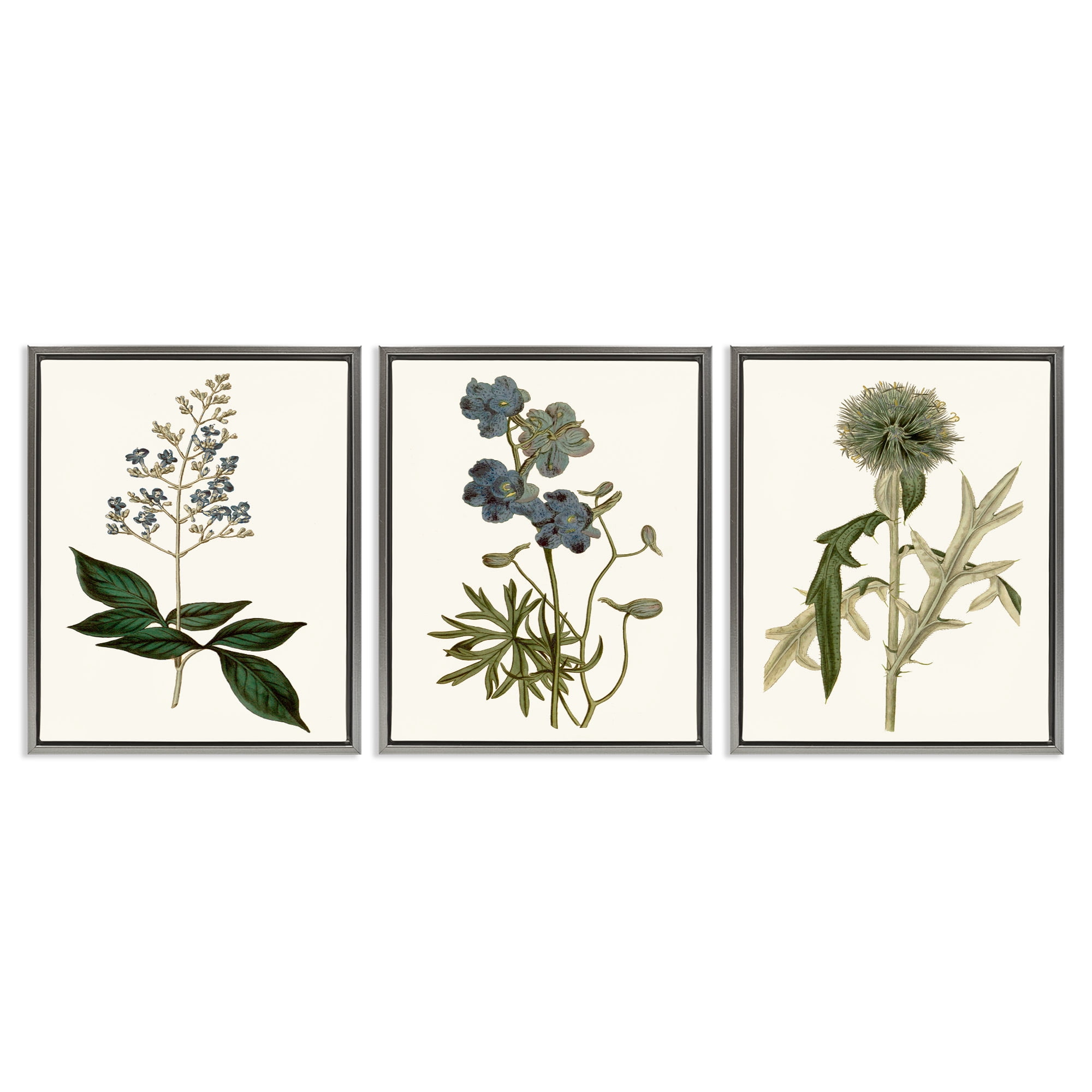 Stupell Industries Vintage Botanical Flowers on Beige Botanical & Floral Painting Gray Floater Framed Canvas Art Print Wall Art, 25 x 31, Set of 3
