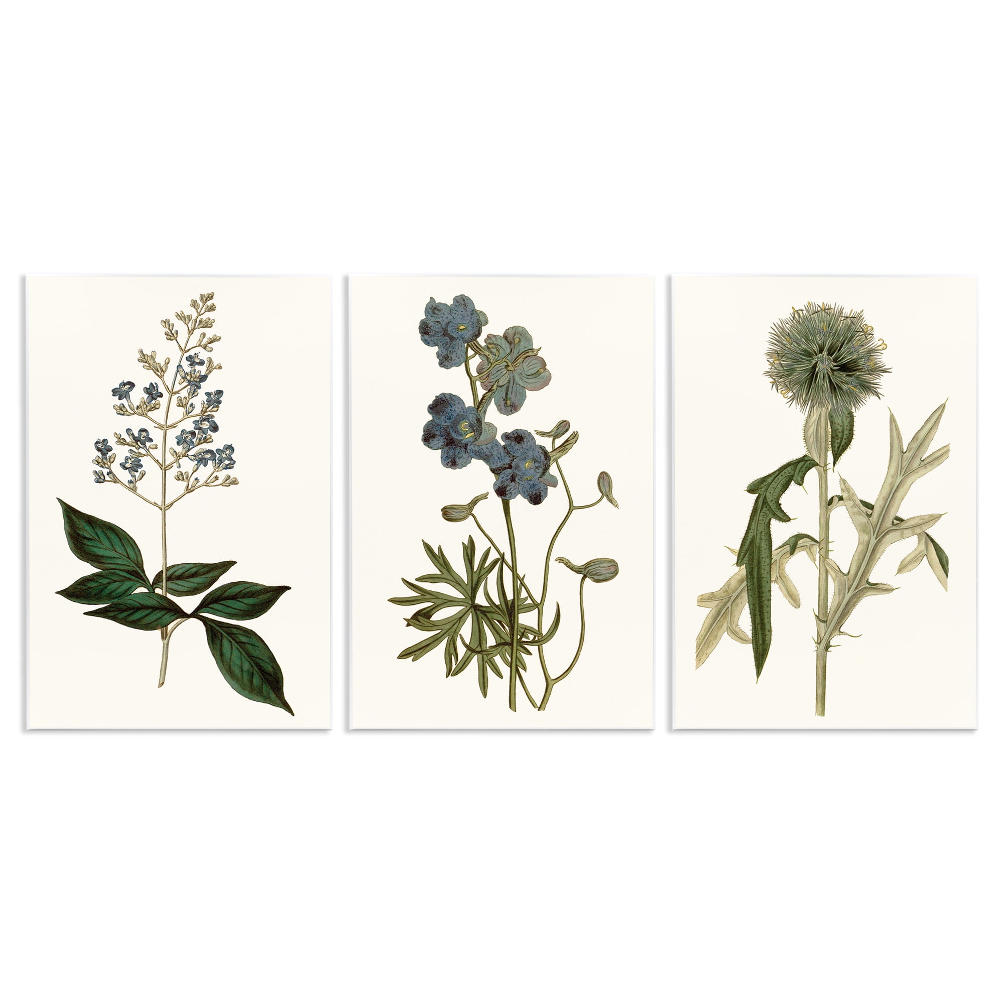 Stupell Industries Vintage Botanical Flowers on Beige Botanical & Floral Painting Unframed Art Print Wall Art, 13 x 19, Set of 3