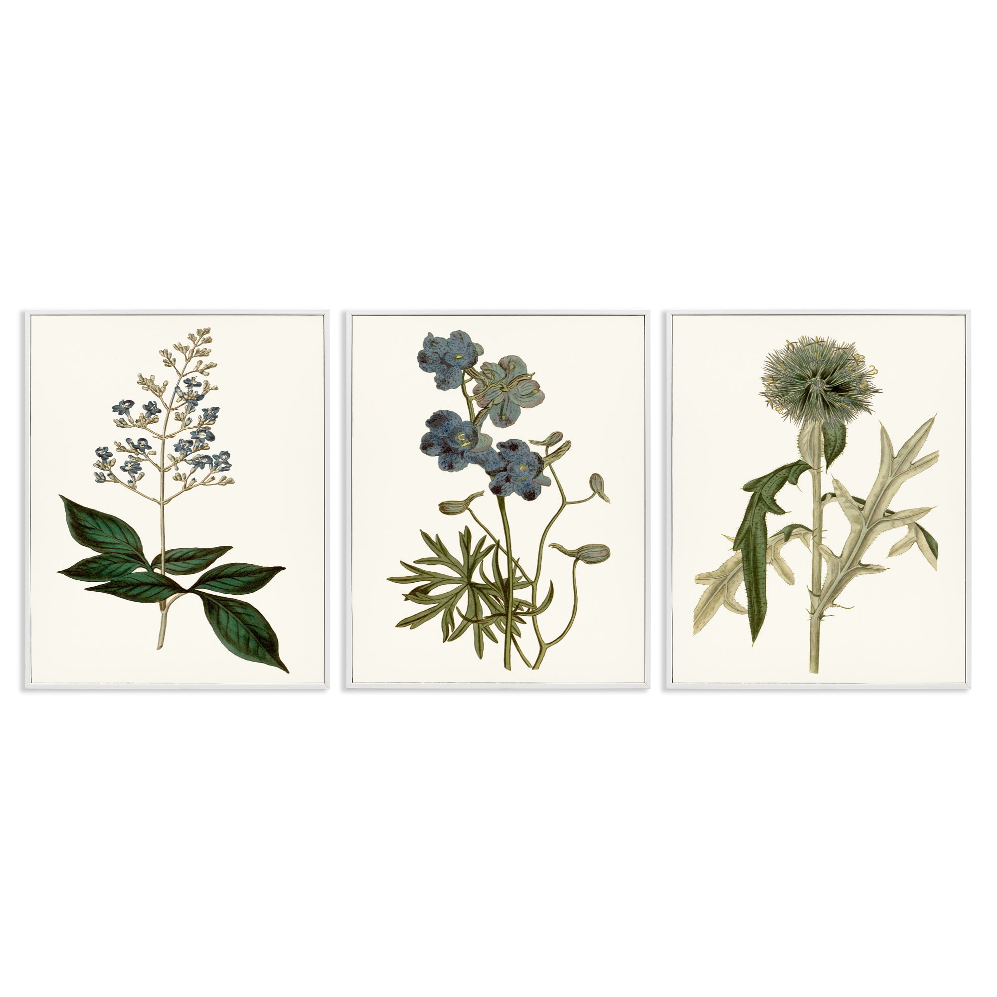 Stupell Industries Vintage Botanical Flowers on Beige Botanical & Floral Painting White Framed Art Print Wall Art, 24 x 30, Set of 3
