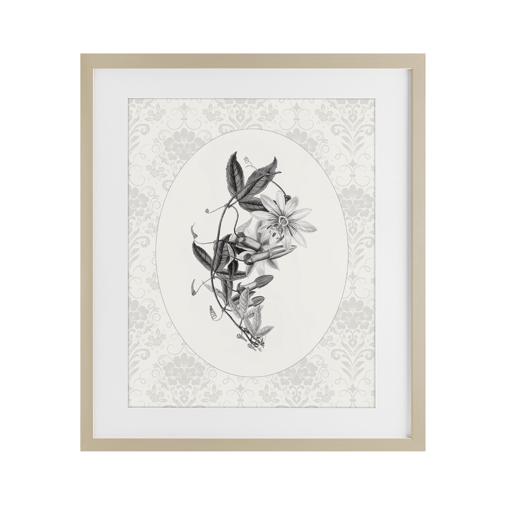 Stupell Industries Vintage Botanical & Lace Birch Framed Print Under Glass, design by CAD Designs