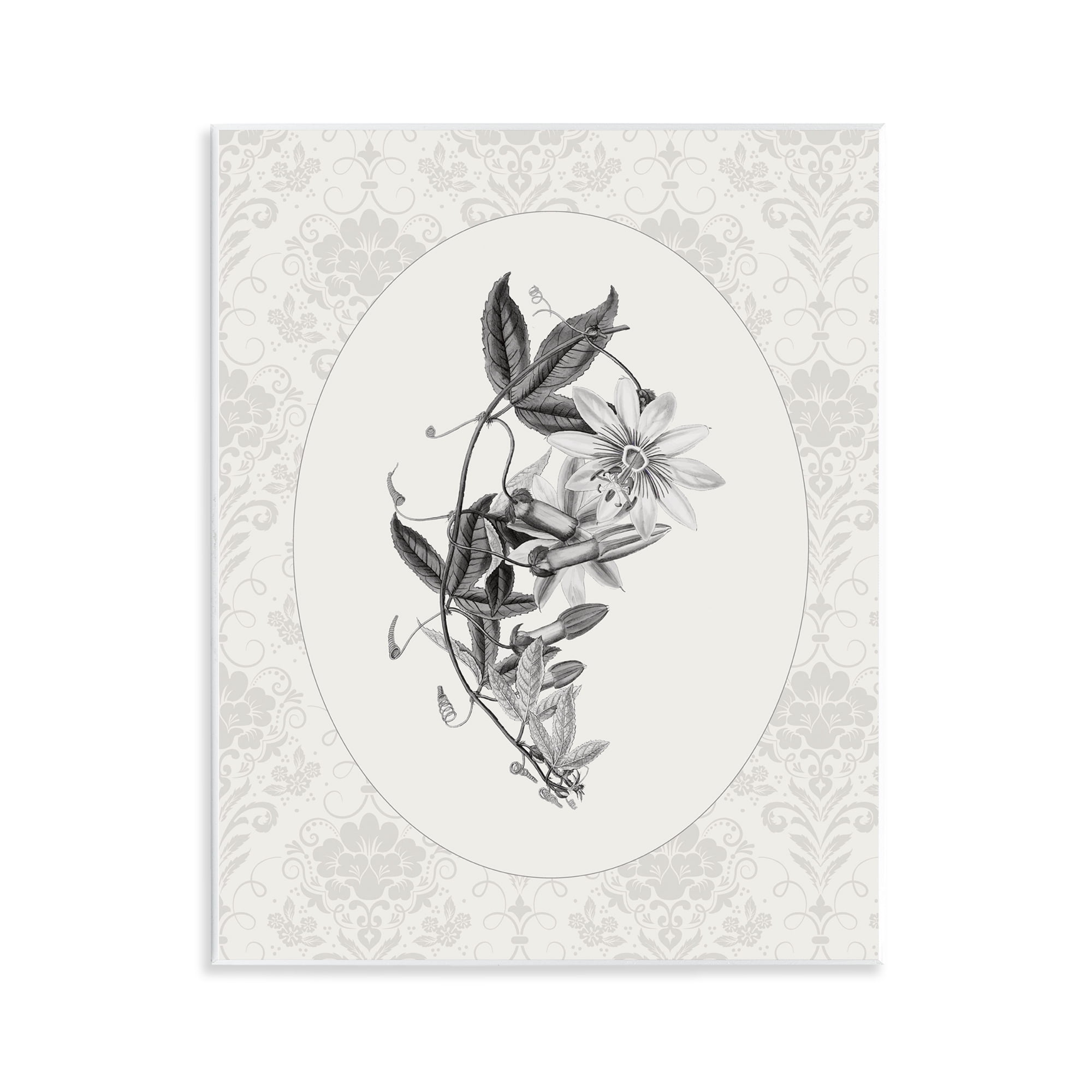 Stupell Industries Vintage Botanical & Lace Wall Plaque Art, design by CAD Designs