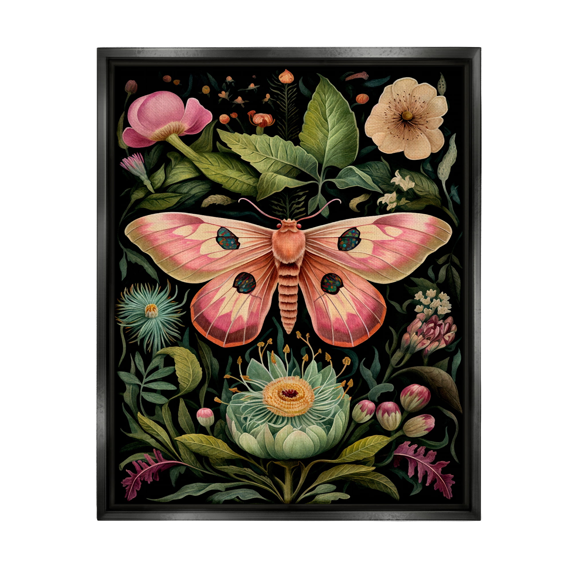 Stupell Industries Vintage Botanical Moth Animals & Insects Painting Black Floater Framed Canvas Art Print Wall Art, 25 x 31