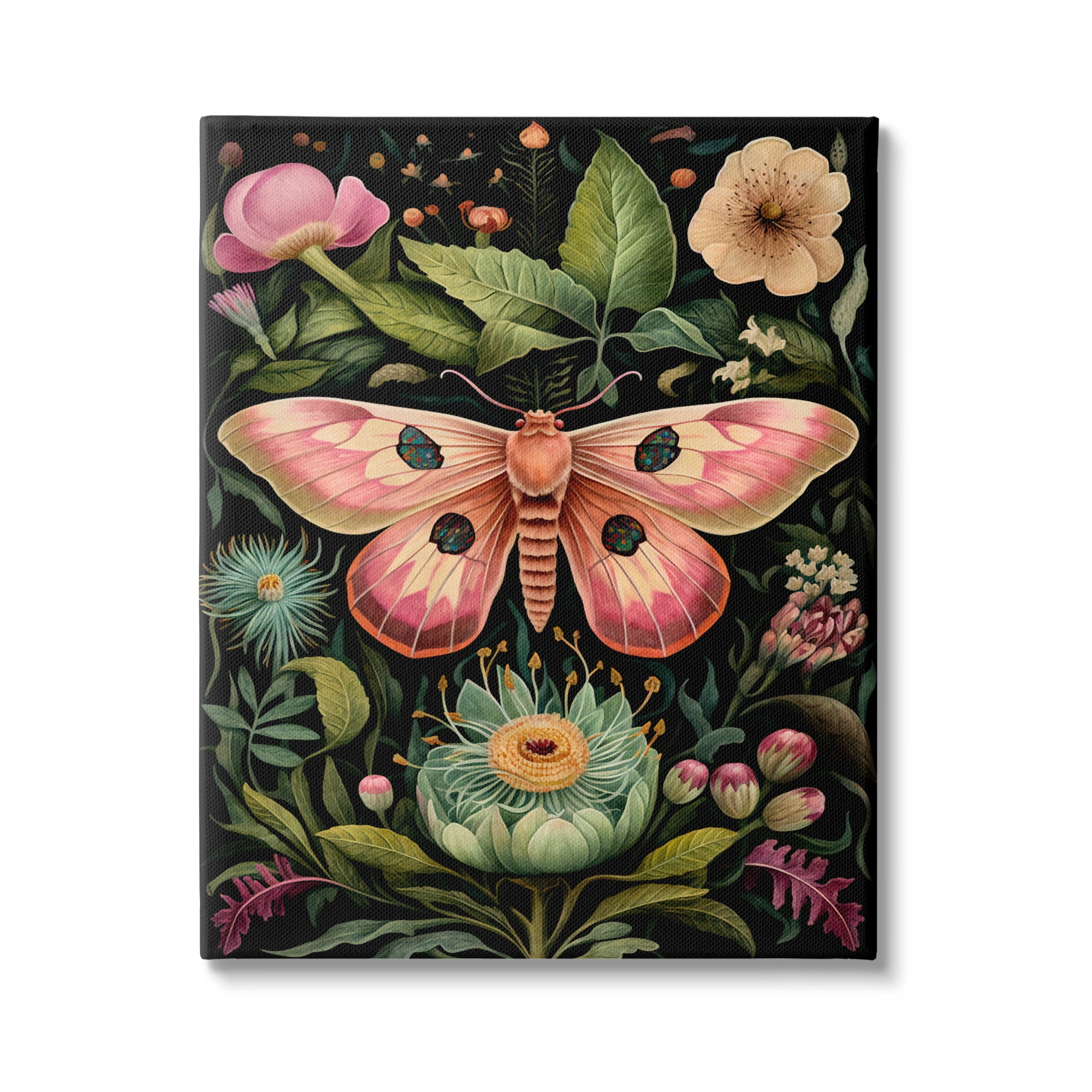 Stupell Industries Vintage Botanical Moth Animals & Insects Painting Gallery Wrapped Canvas Art Print Wall Art, 30 x 40