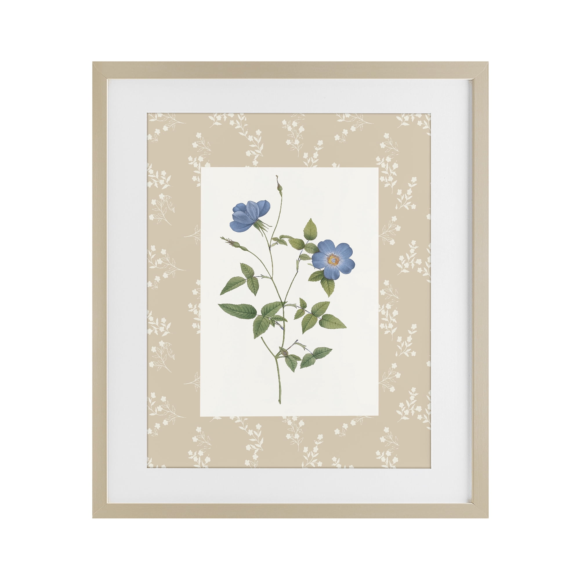 Stupell Industries Vintage Botanical Plate Birch Framed Print Under Glass, design by Val Rhodes