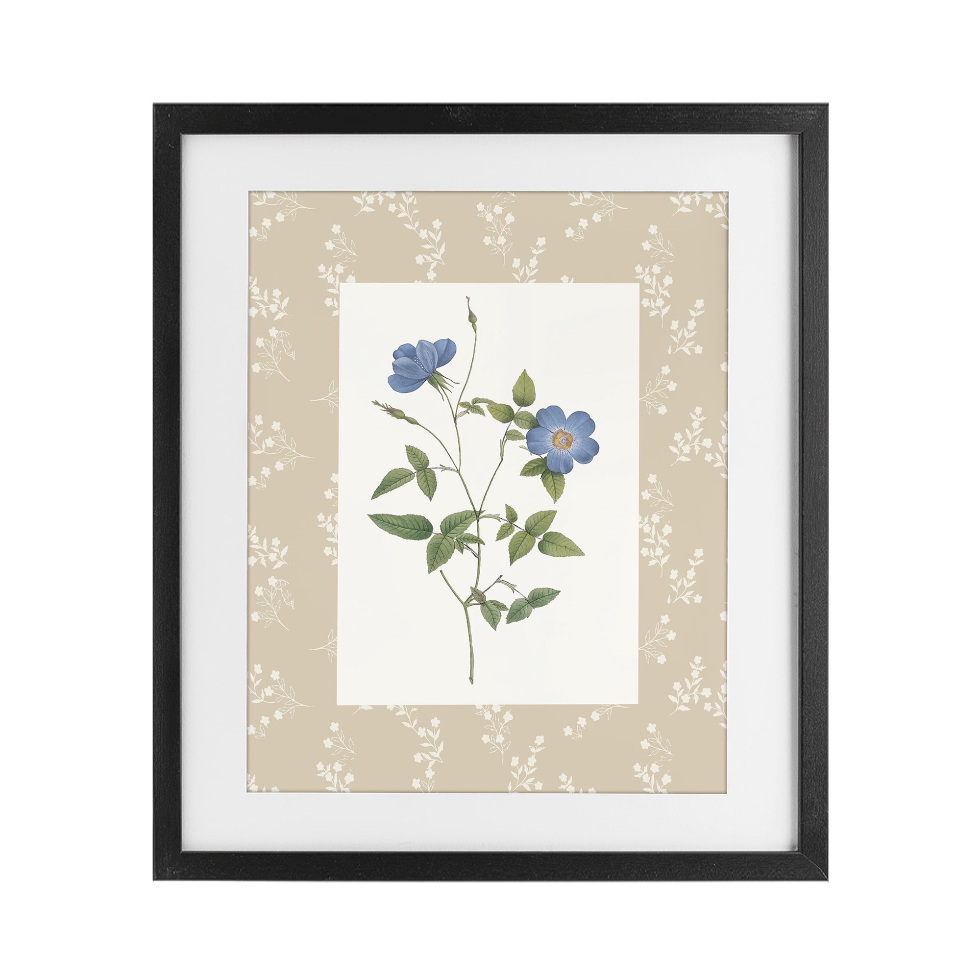 Stupell Industries Vintage Botanical Plate Black Framed Print Under Glass, design by Val Rhodes