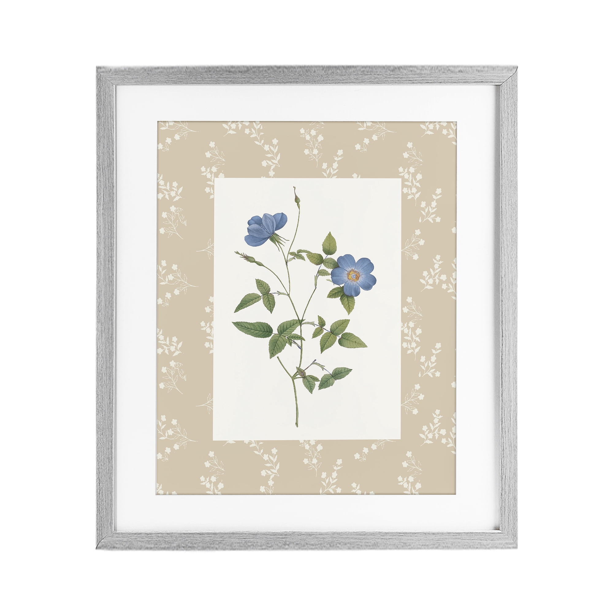 Stupell Industries Vintage Botanical Plate Gray Framed Print Under Glass, design by Val Rhodes