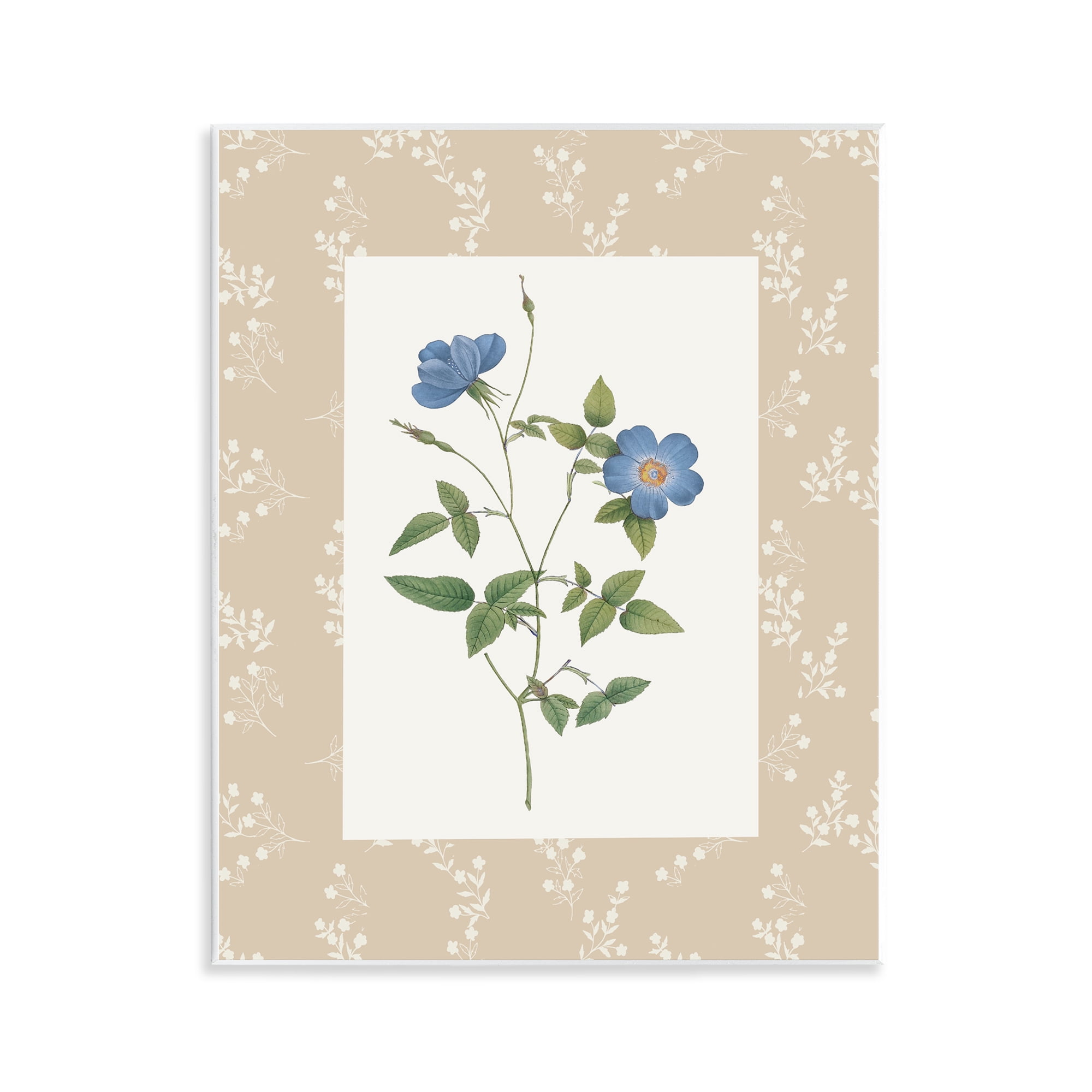 Stupell Industries Vintage Botanical Plate Wall Plaque Art, design by Val Rhodes