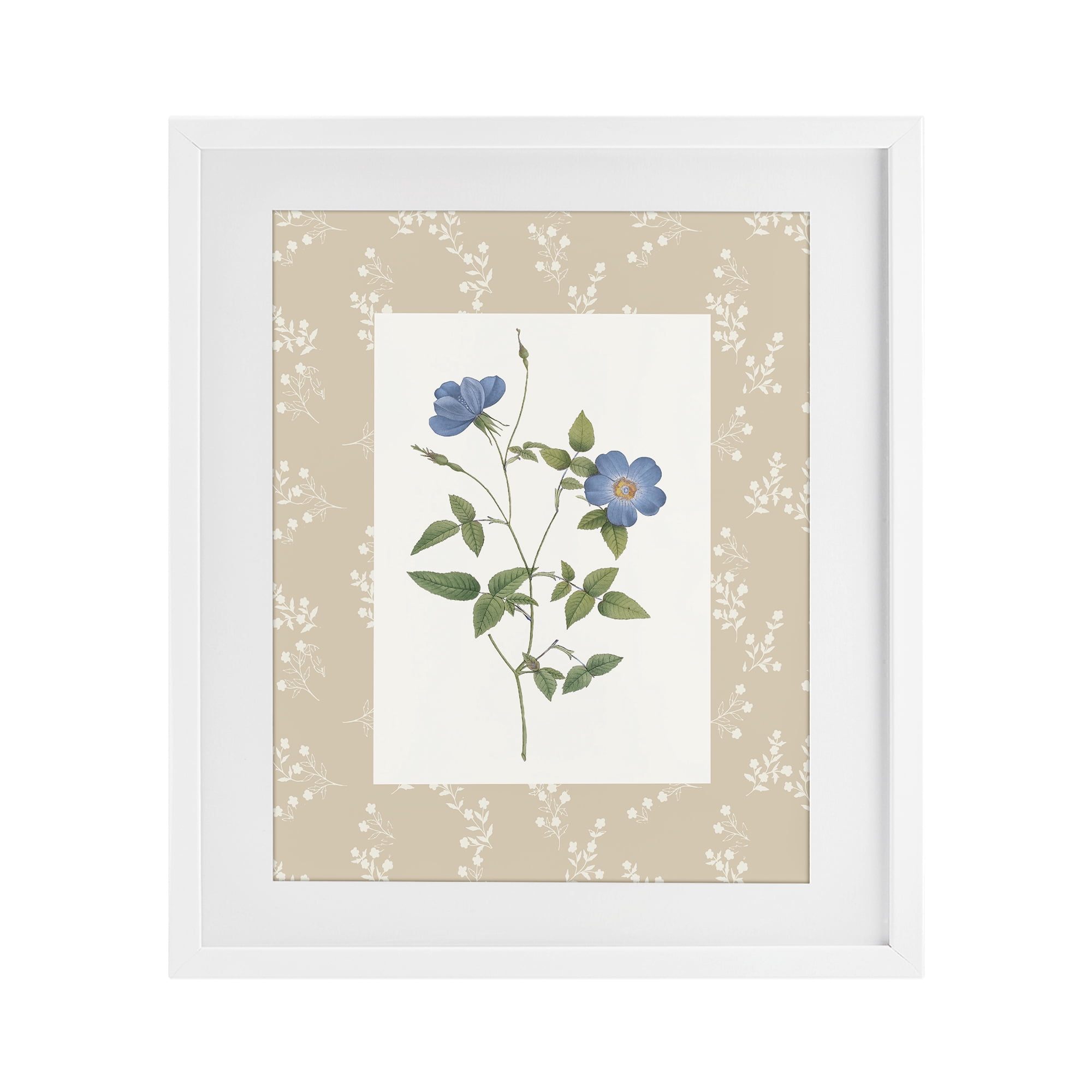Stupell Industries Vintage Botanical Plate White Framed Print Under Glass, design by Val Rhodes