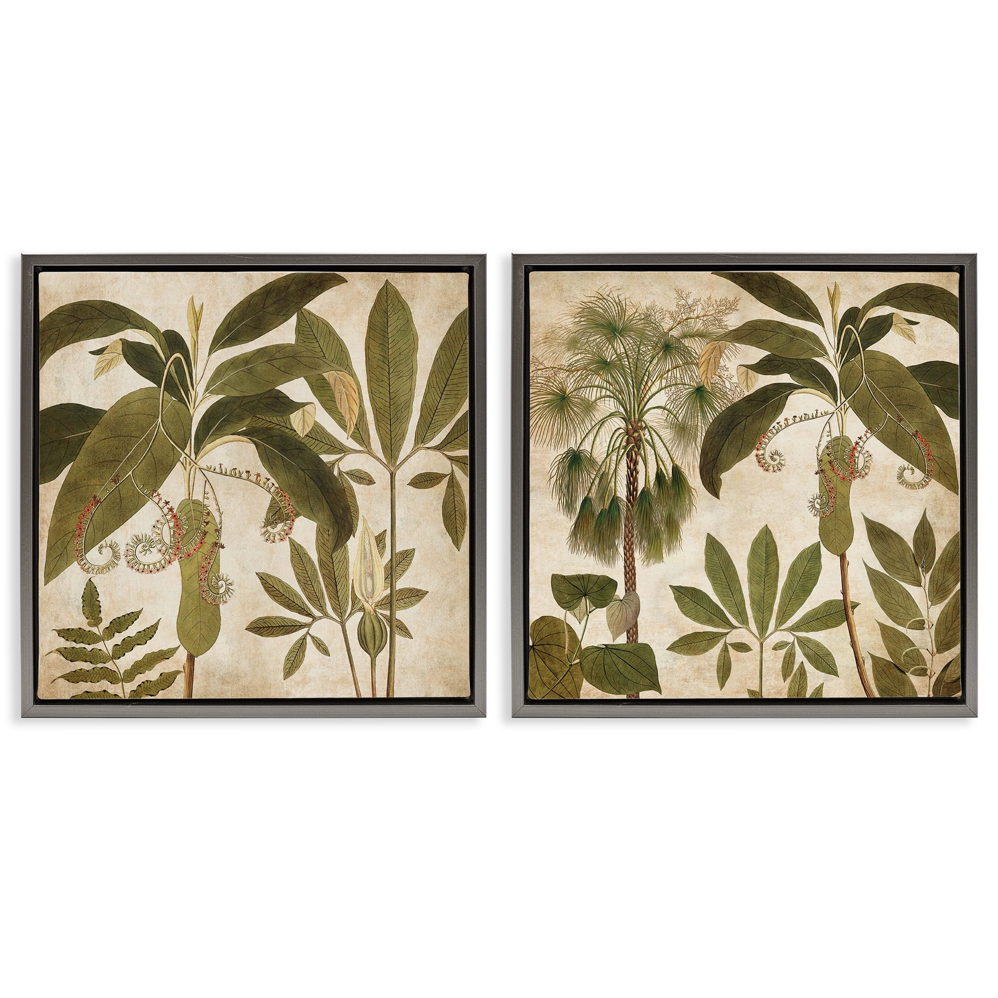 Stupell Industries Vintage Botanical Tropics Plants & Flowers Painting Gray Floater Framed Canvas Art Print Wall Art, 25 x 25, Set of 2