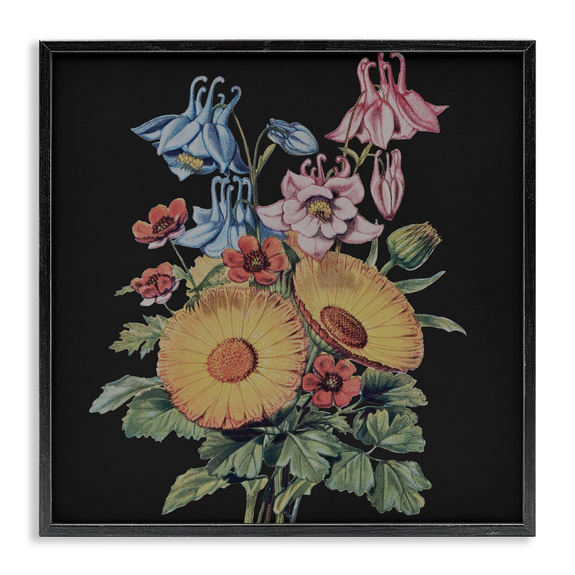 Stupell Industries Vintage Bouquet Study on Black Black Framed Giclee Art, design by Dan Meneely