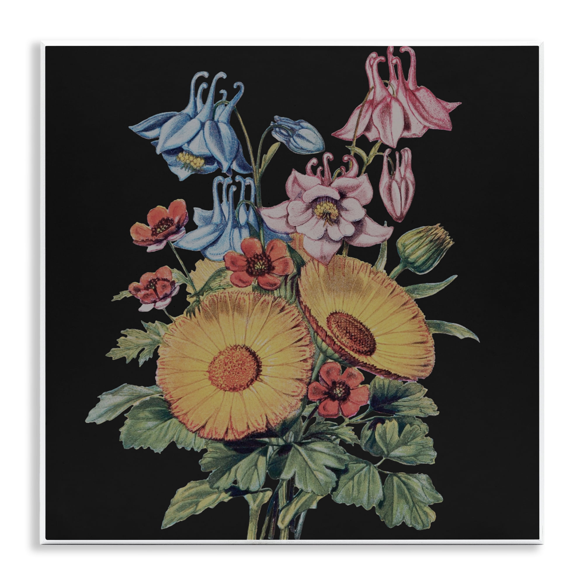 Stupell Industries Vintage Bouquet Study on Black Wall Plaque Art, design by Dan Meneely