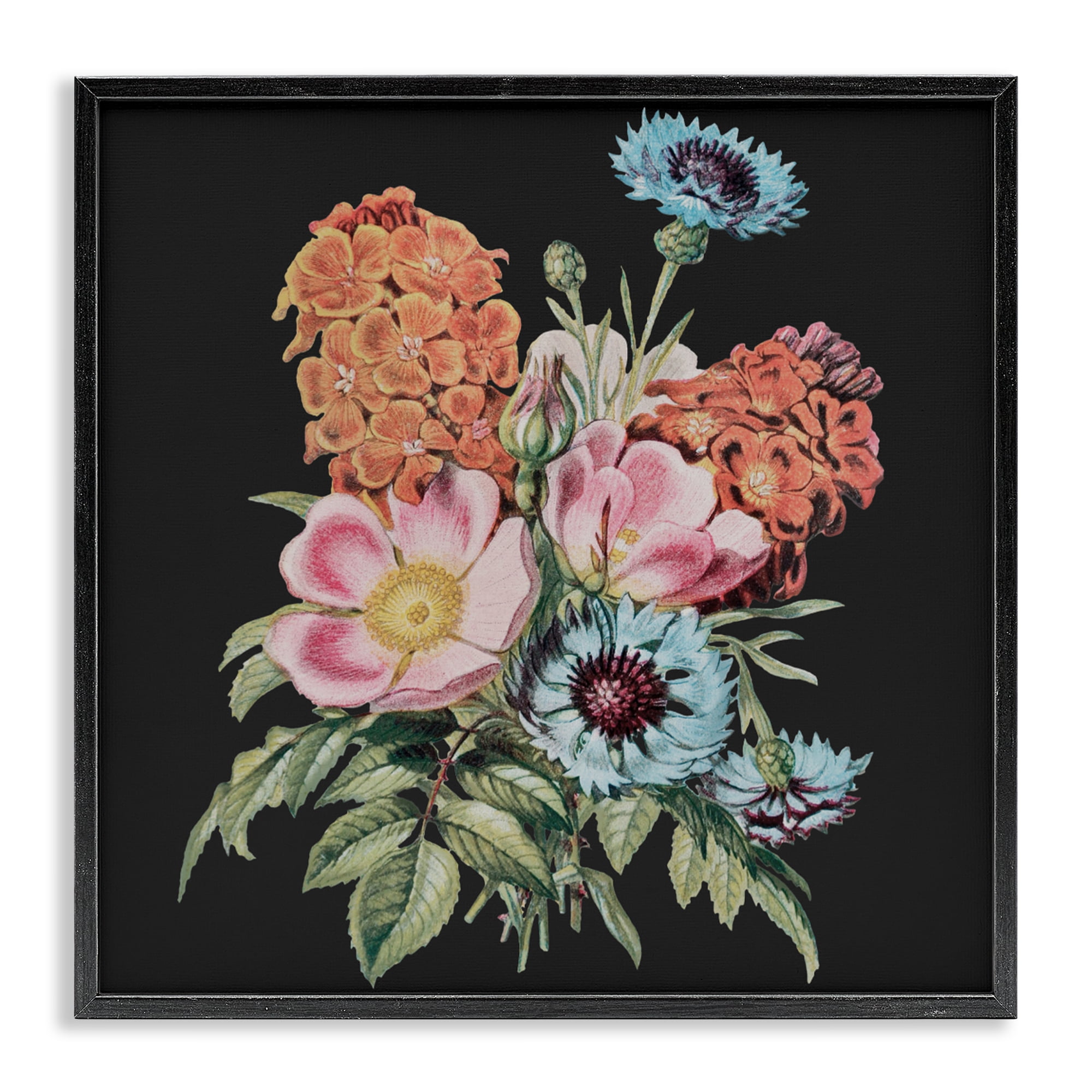 Stupell Industries Vintage Bouquet Study over Black Black Framed Giclee Art, design by Dan Meneely