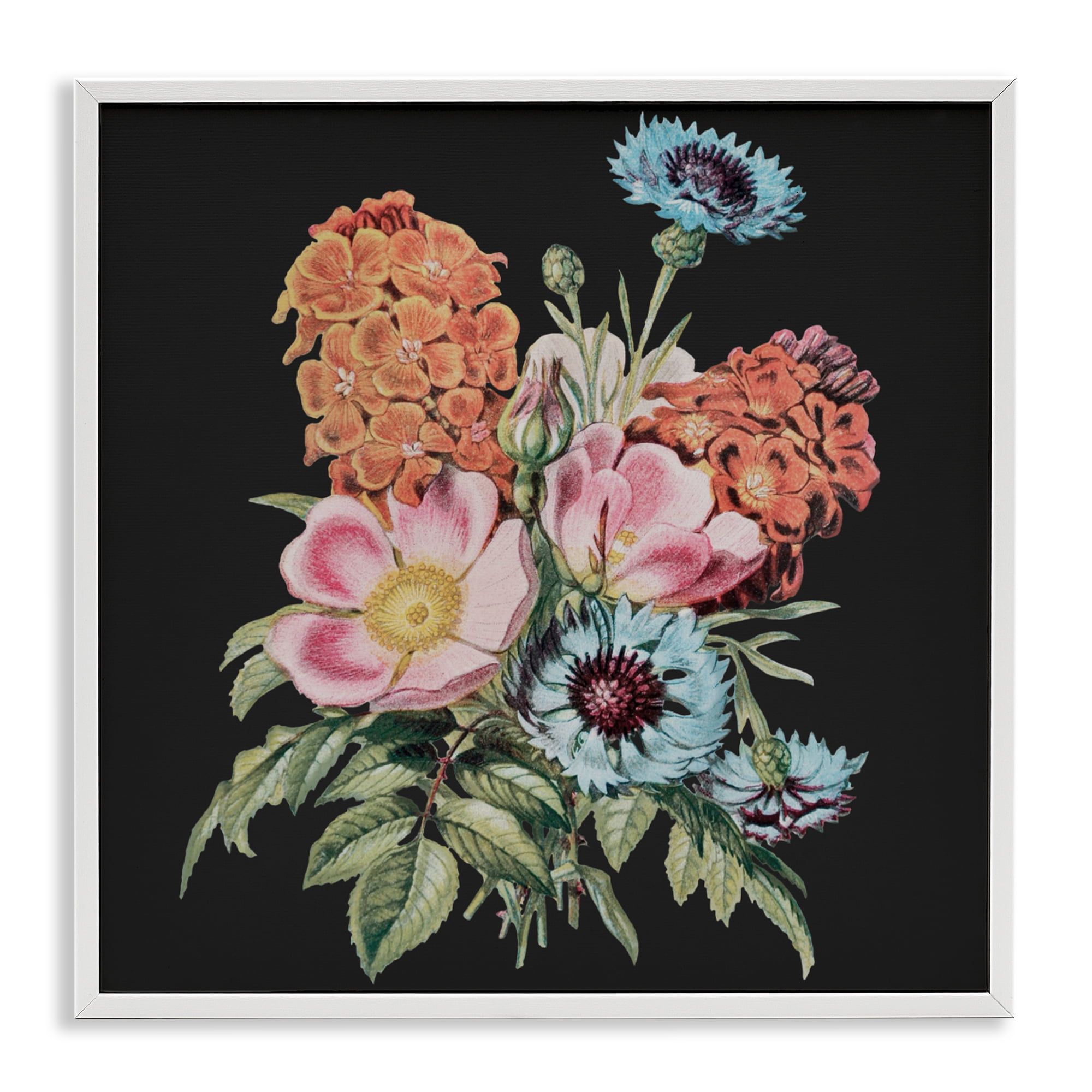 Stupell Industries Vintage Bouquet Study over Black White Framed Giclee Art, design by Dan Meneely