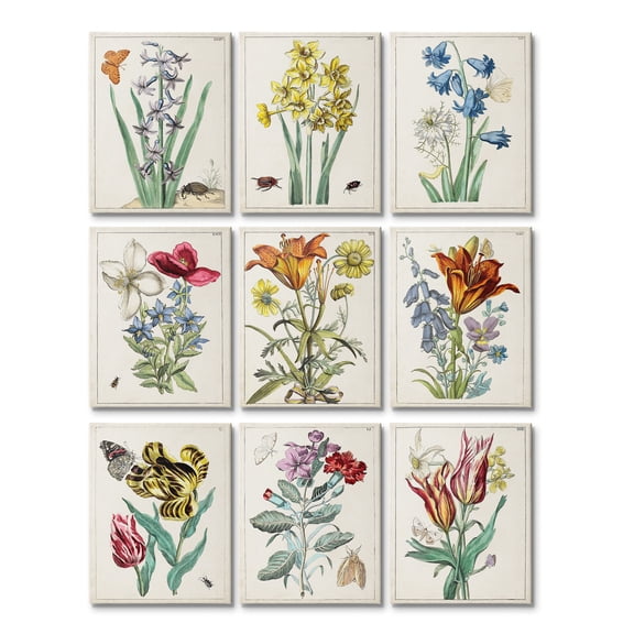 Stupell Industries Vintage Bugs & Flowers Botanical & Floral Painting Gallery Wrapped Canvas Art Print Wall Art, 11 x 14, Set of 9