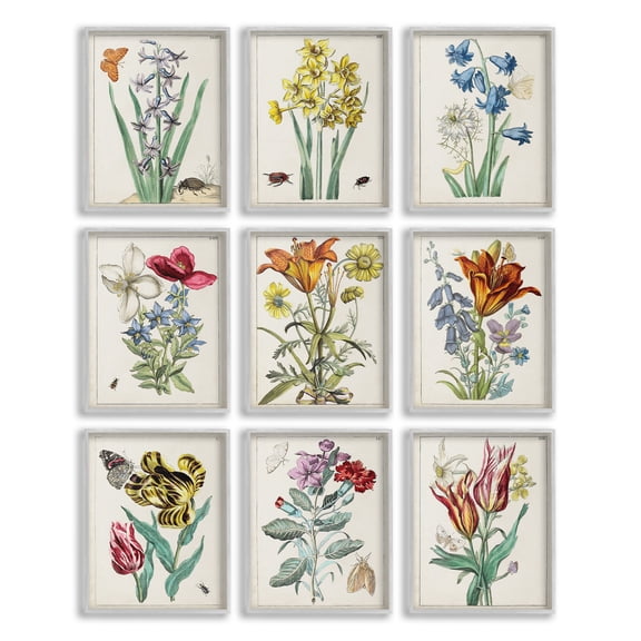 Stupell Industries Vintage Bugs & Flowers Botanical & Floral Painting Gray Framed Art Print Wall Art, 11 x 14, Set of 9